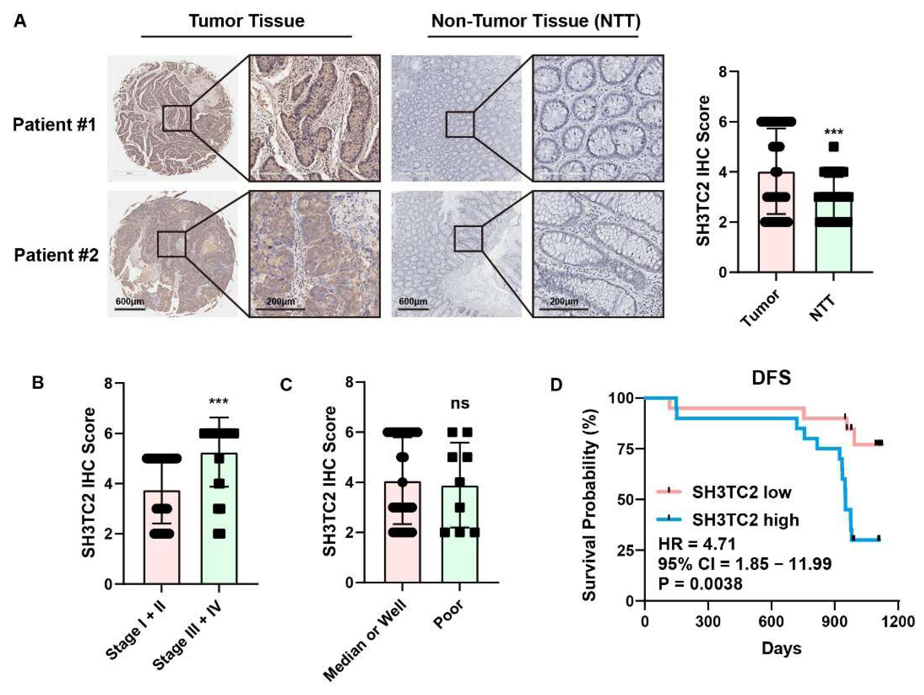 Cancers 14 03735 g003