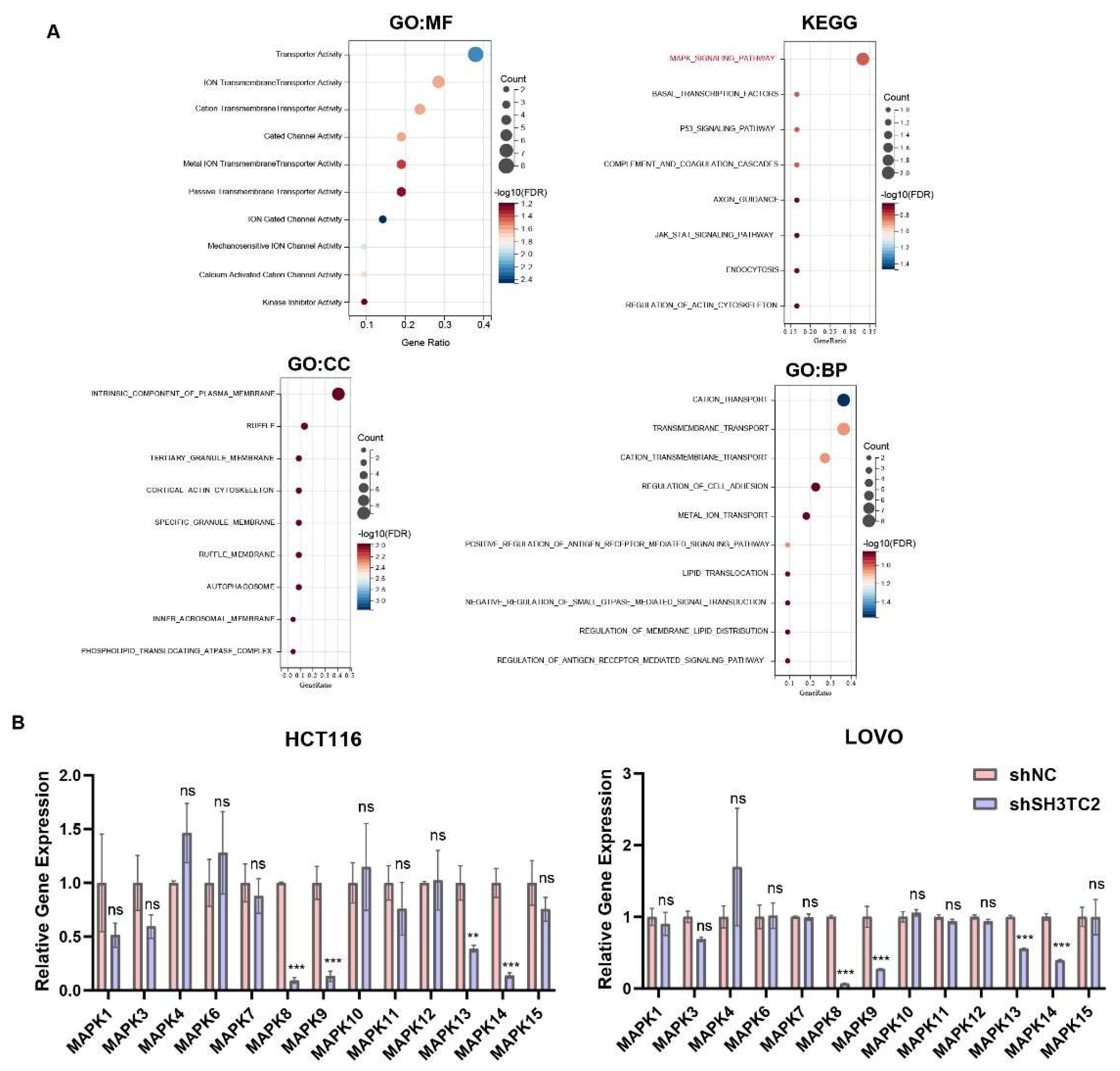 Cancers 14 03735 g005
