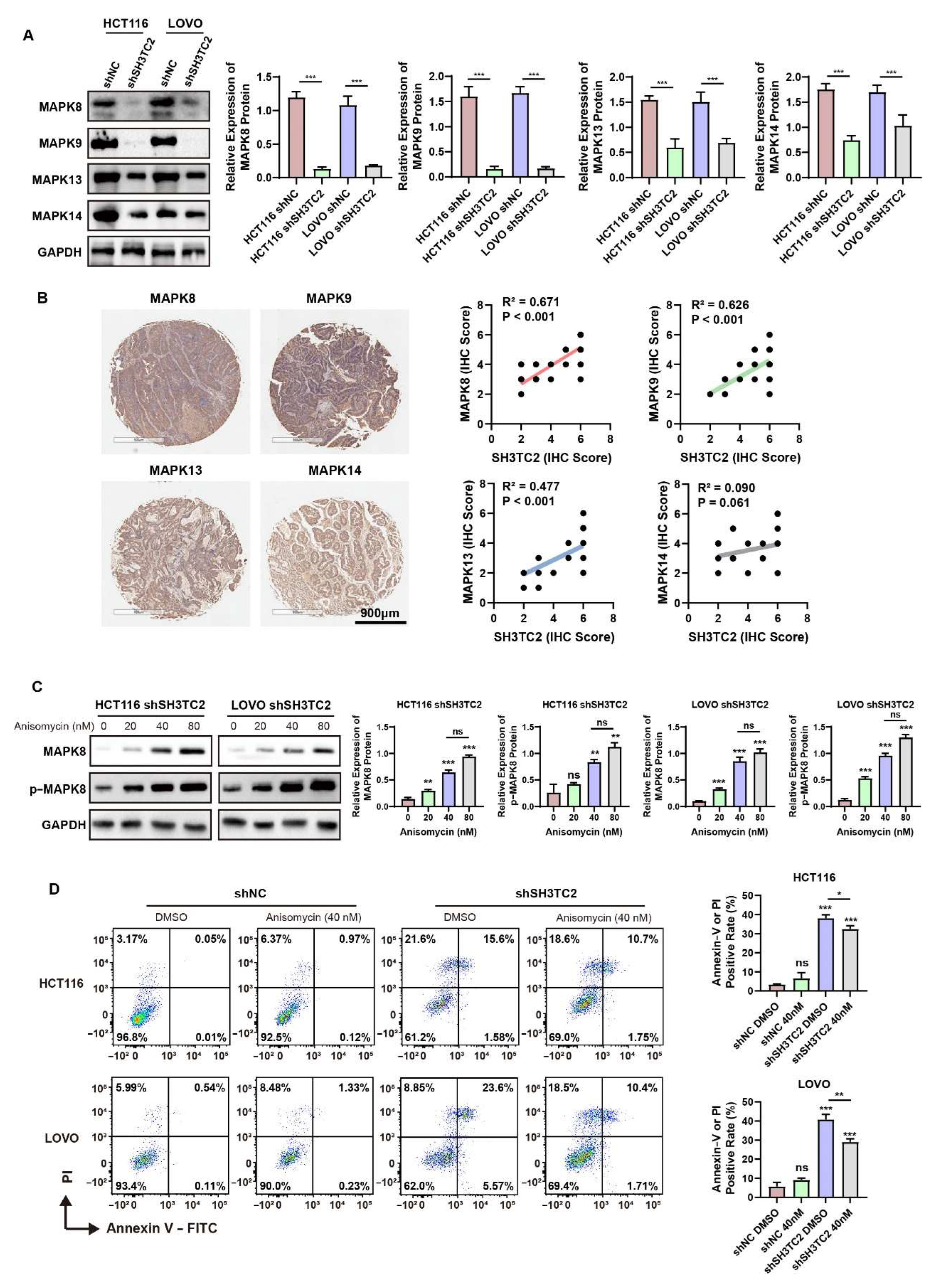Cancers 14 03735 g006