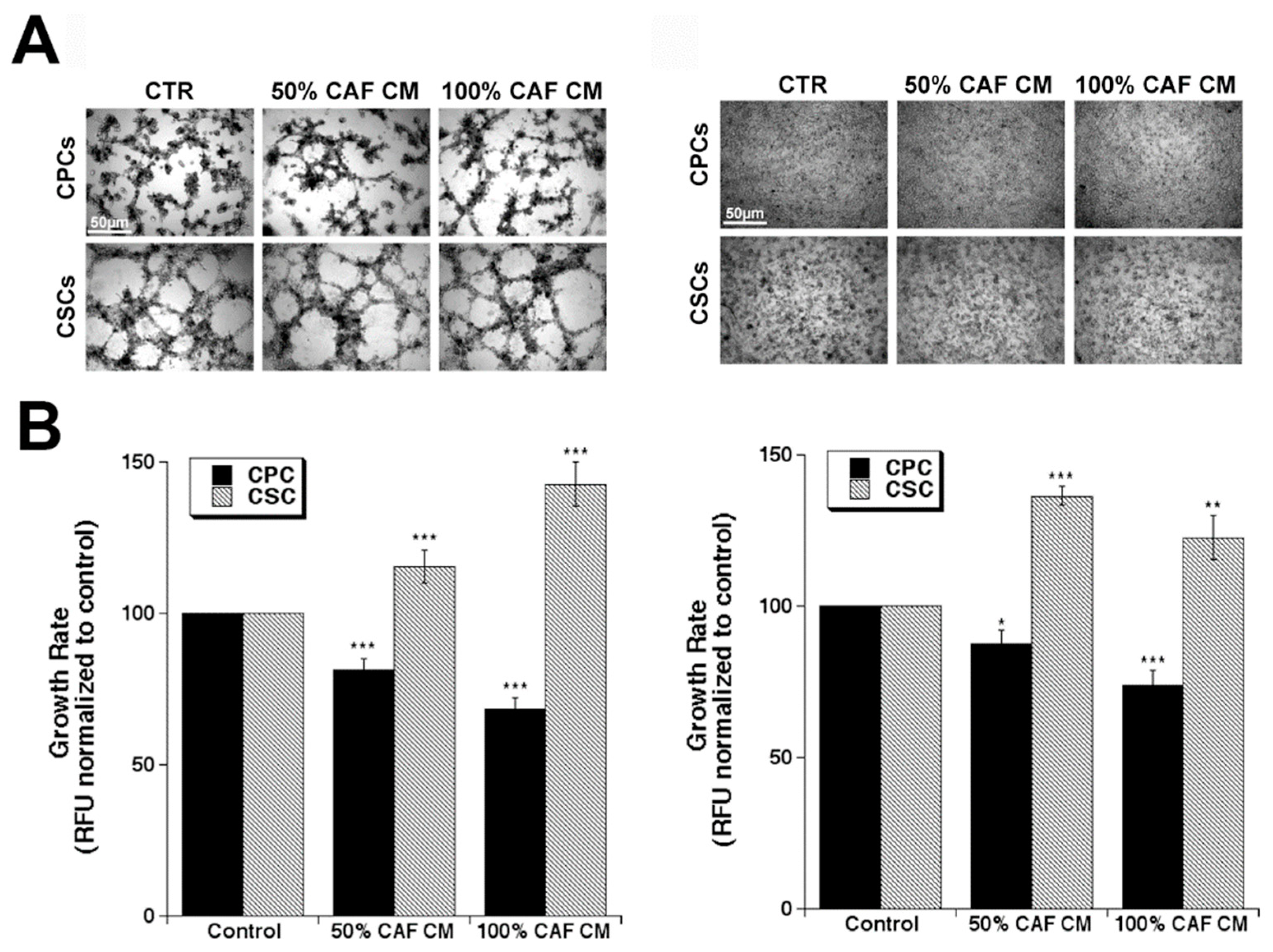 Cancers 14 03737 g001