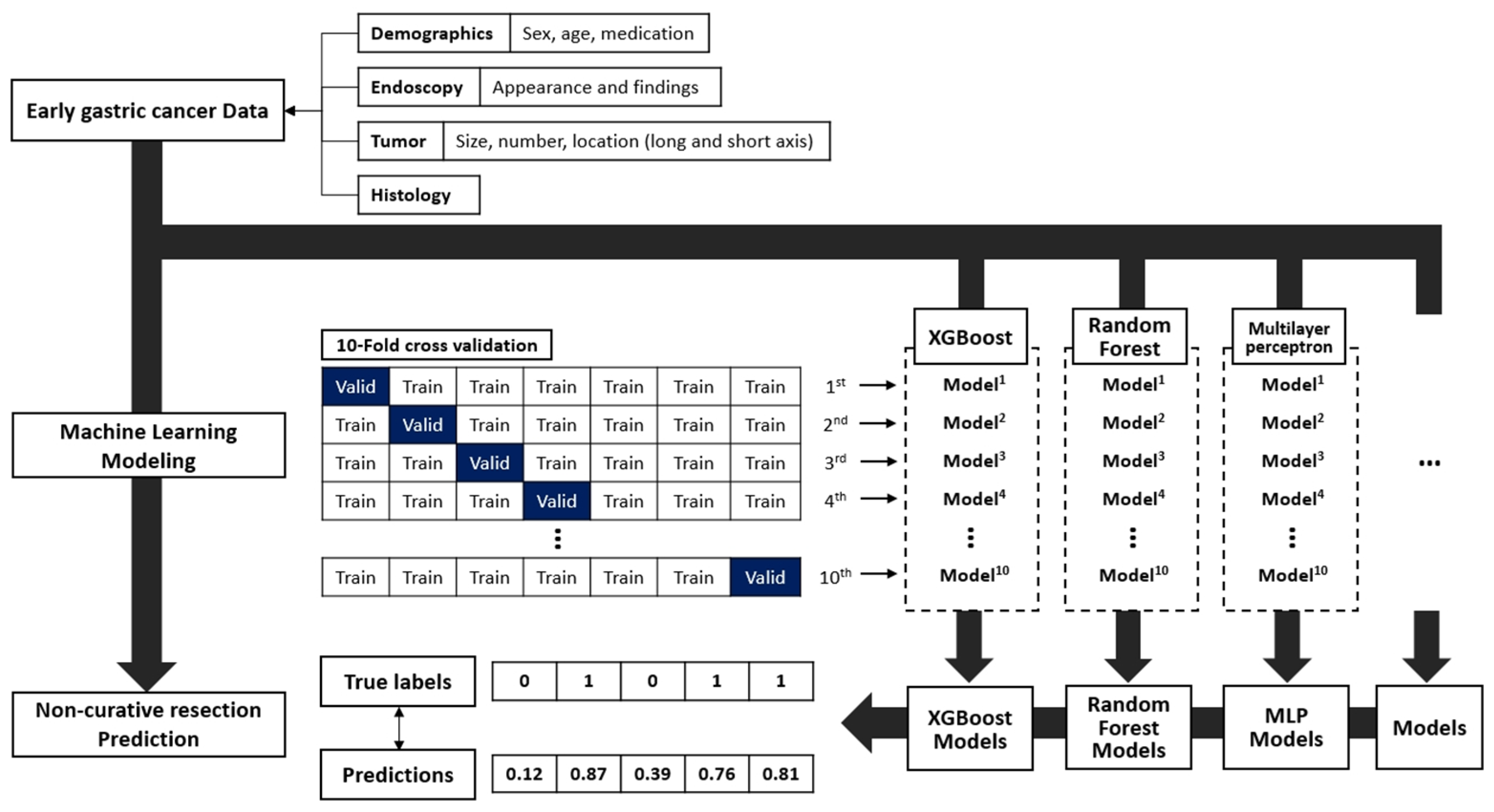 Cancers 14 03742 g002
