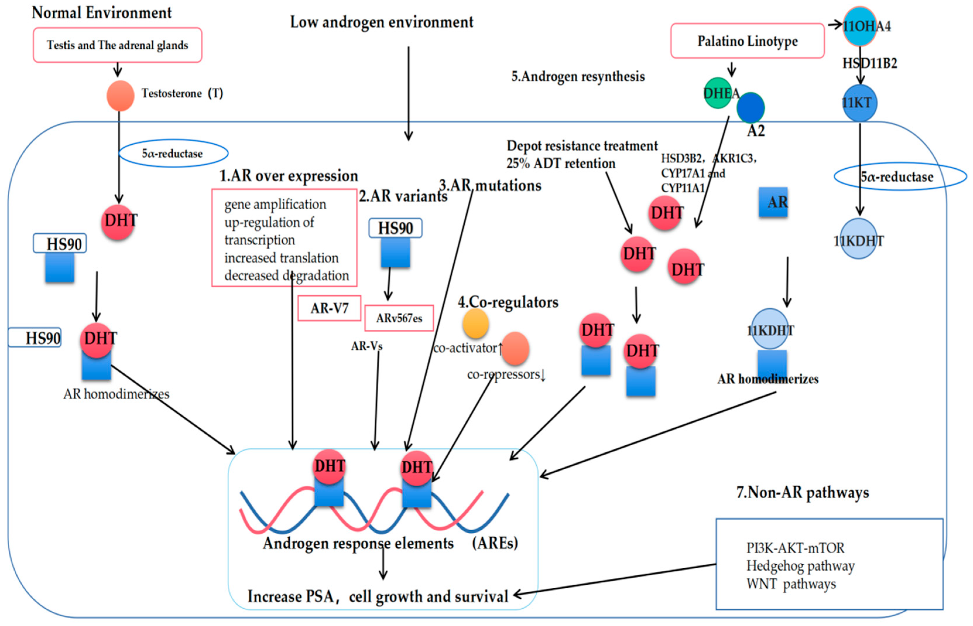 Cancers 14 03744 g002