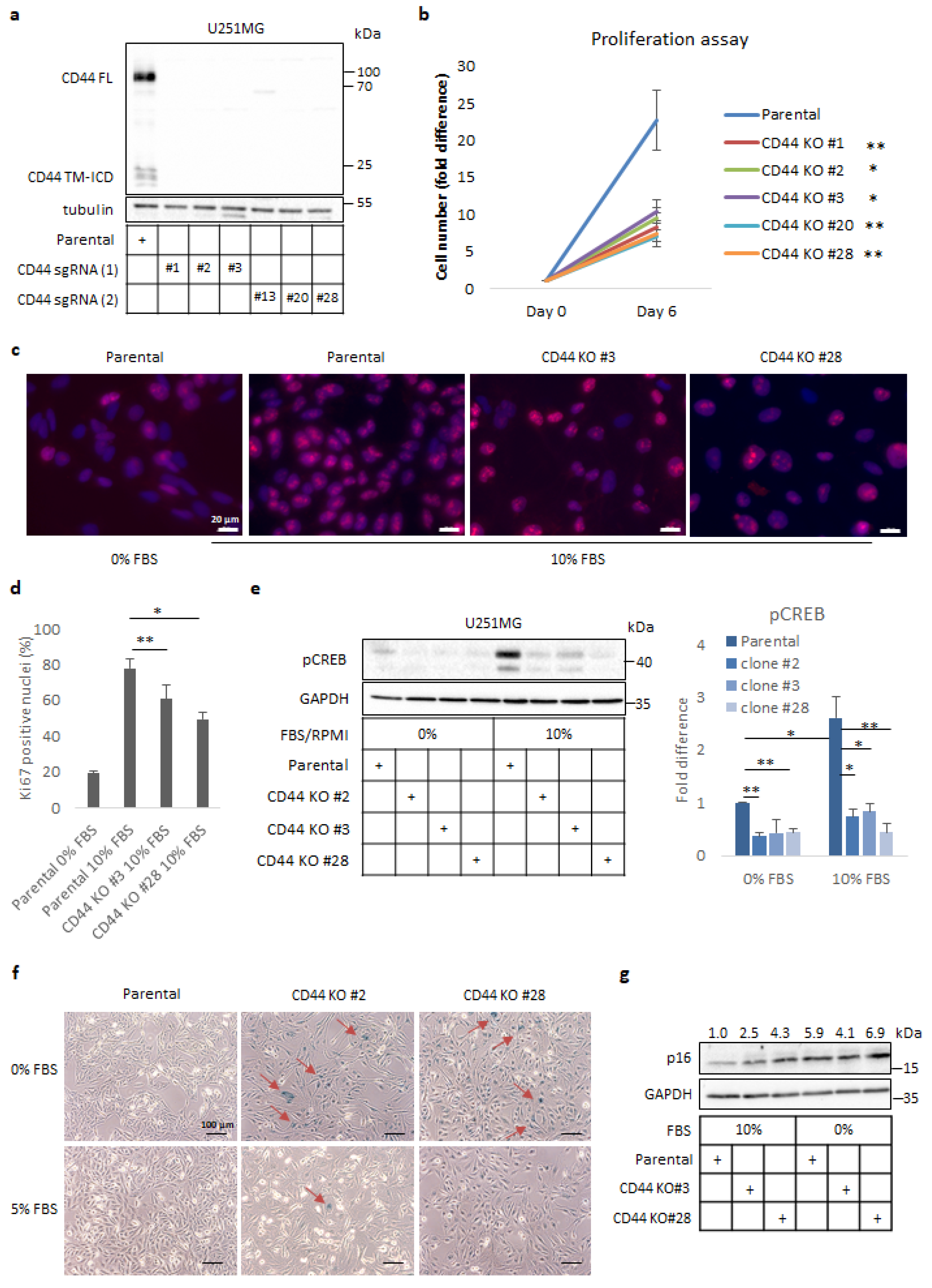 Cancers 14 03747 g001