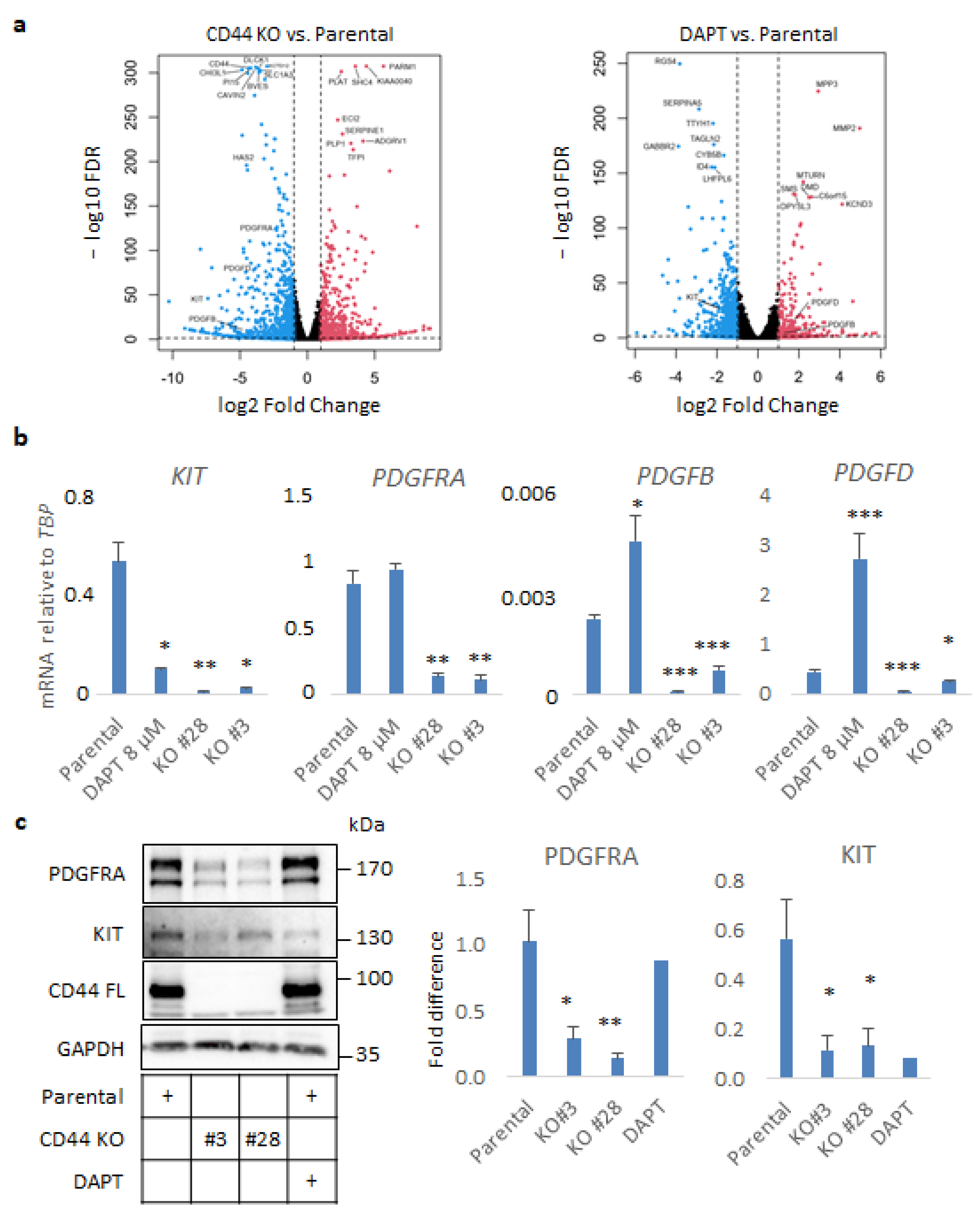 Cancers 14 03747 g003