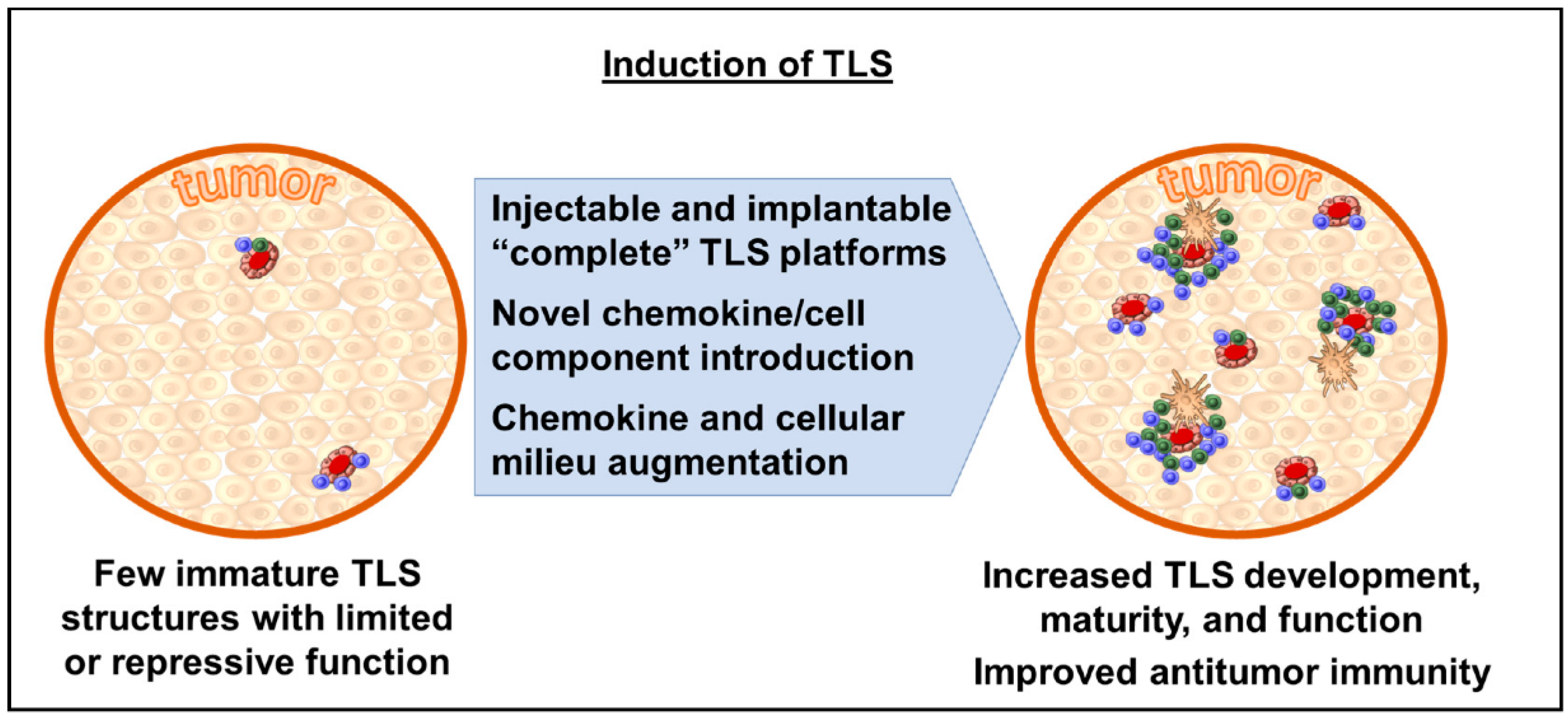 Cancers 14 03748 g002 550