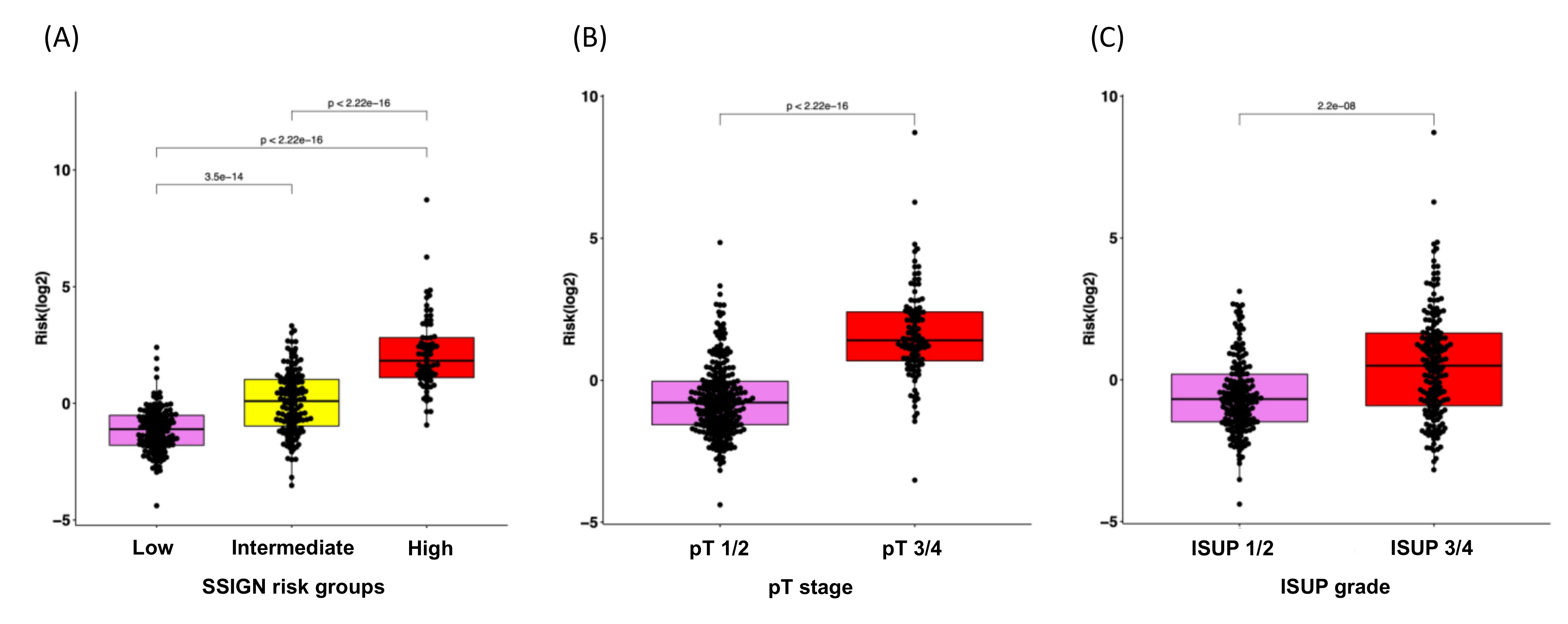 Cancers 14 03754 g004