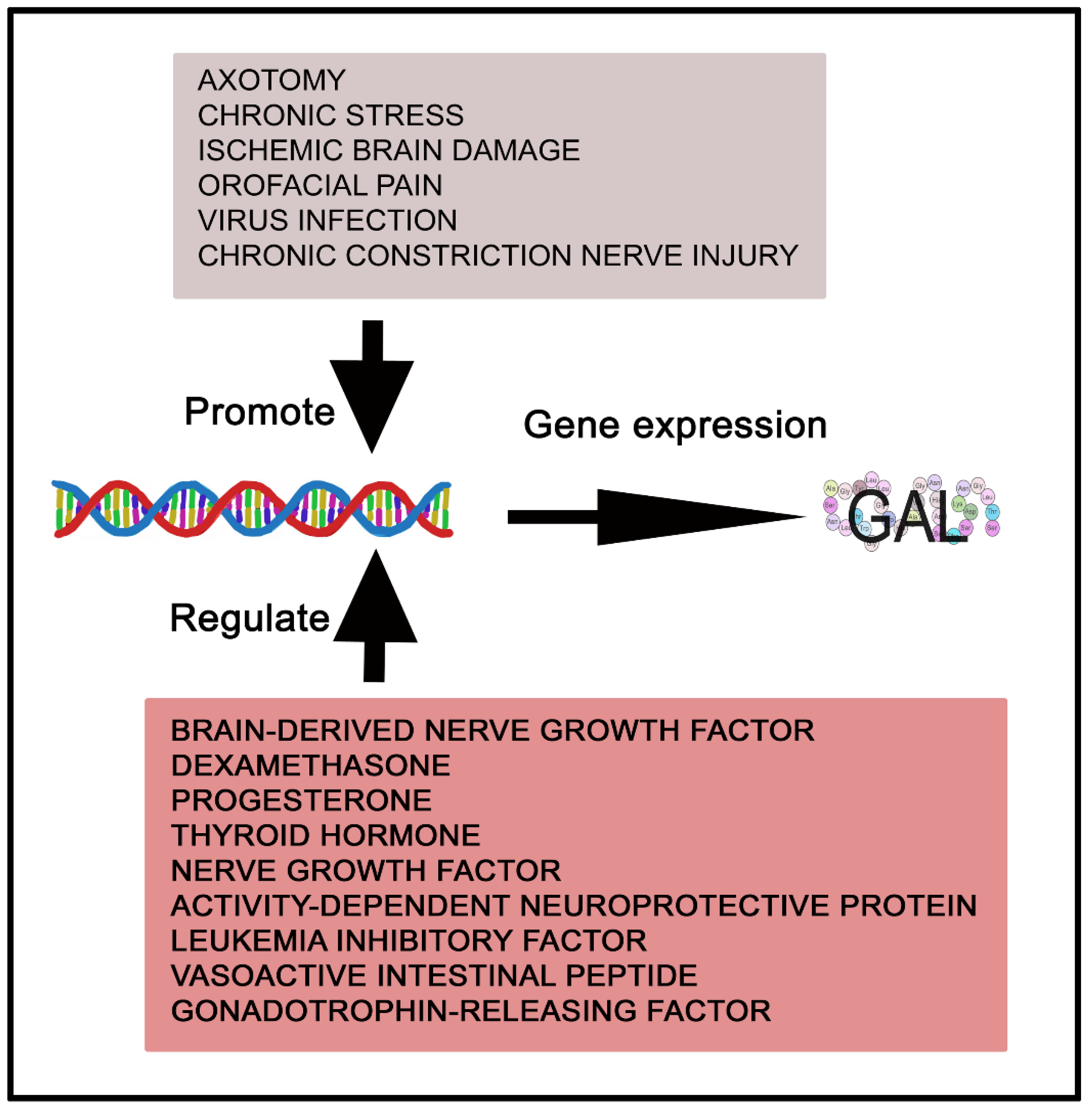 Cancers 14 03755 g003