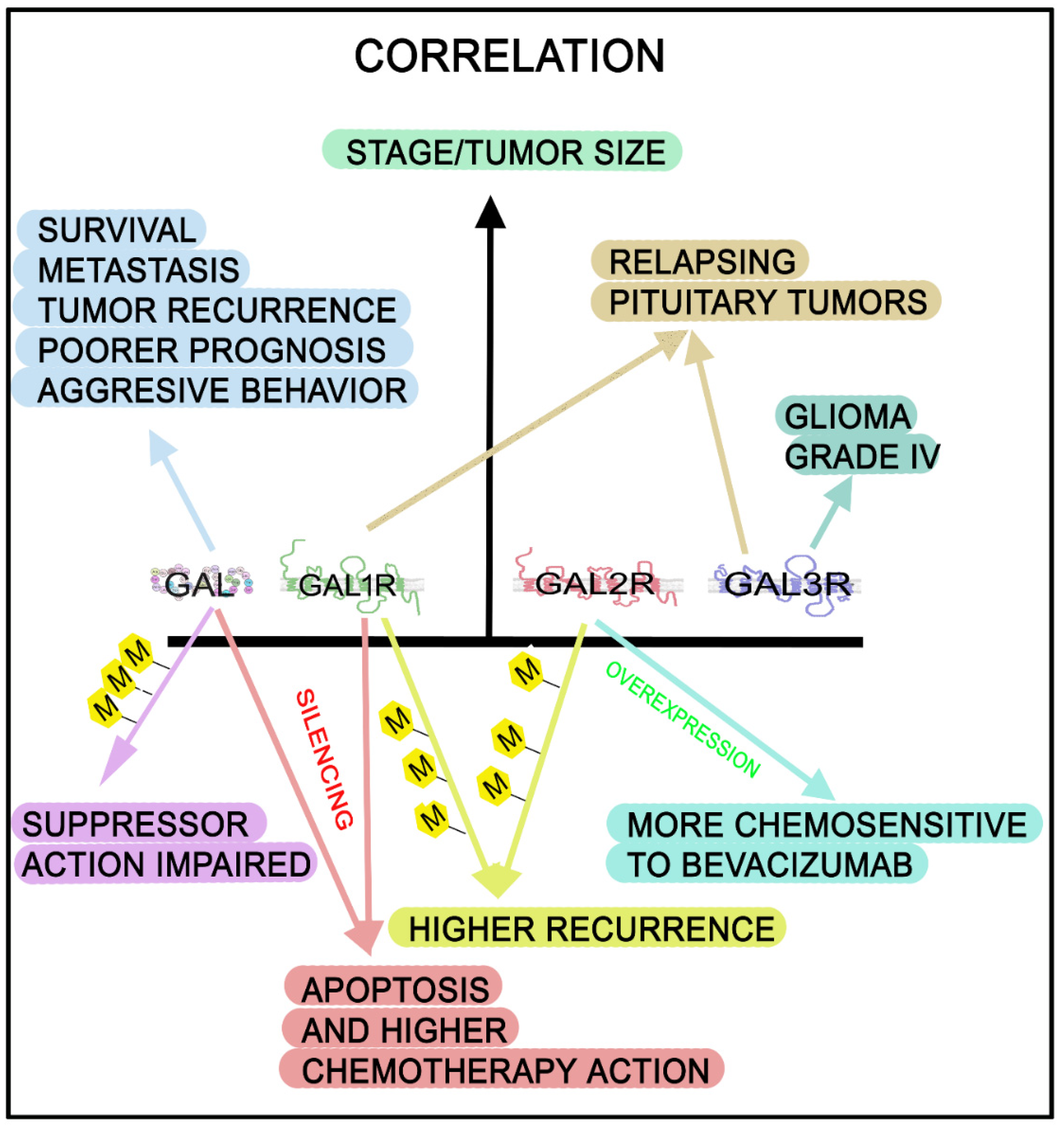 Cancers 14 03755 g005