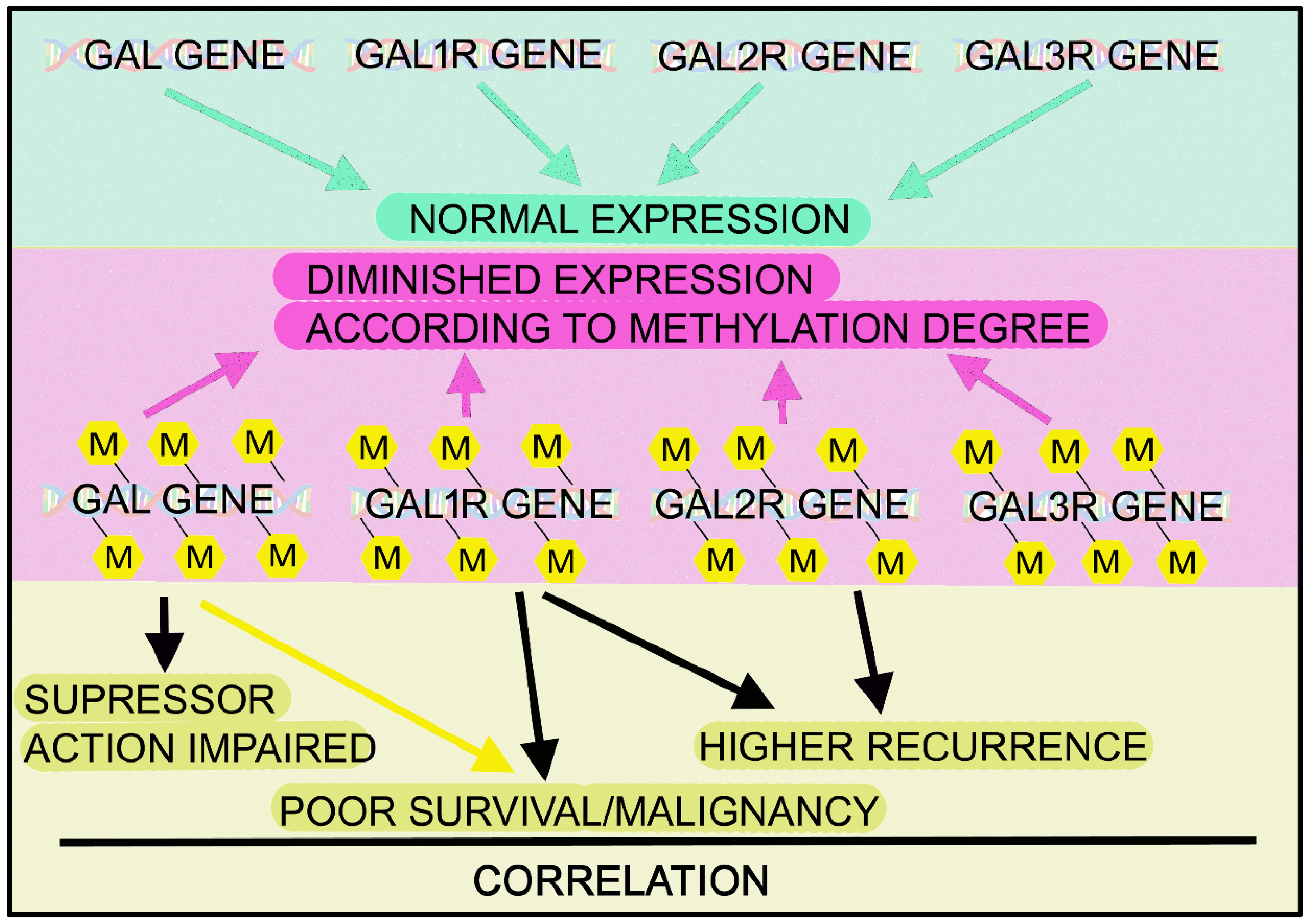 Cancers 14 03755 g006