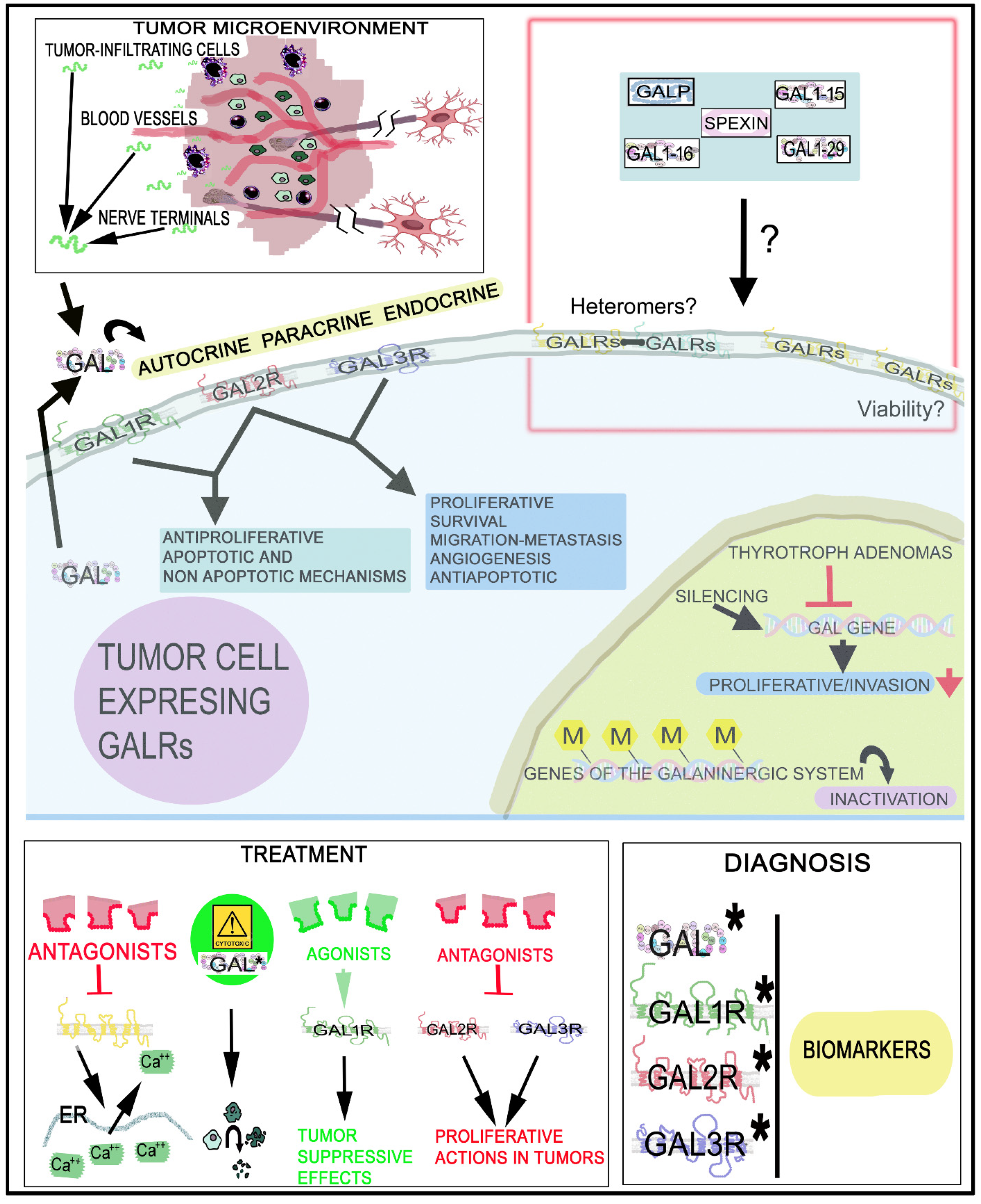 Cancers 14 03755 g007