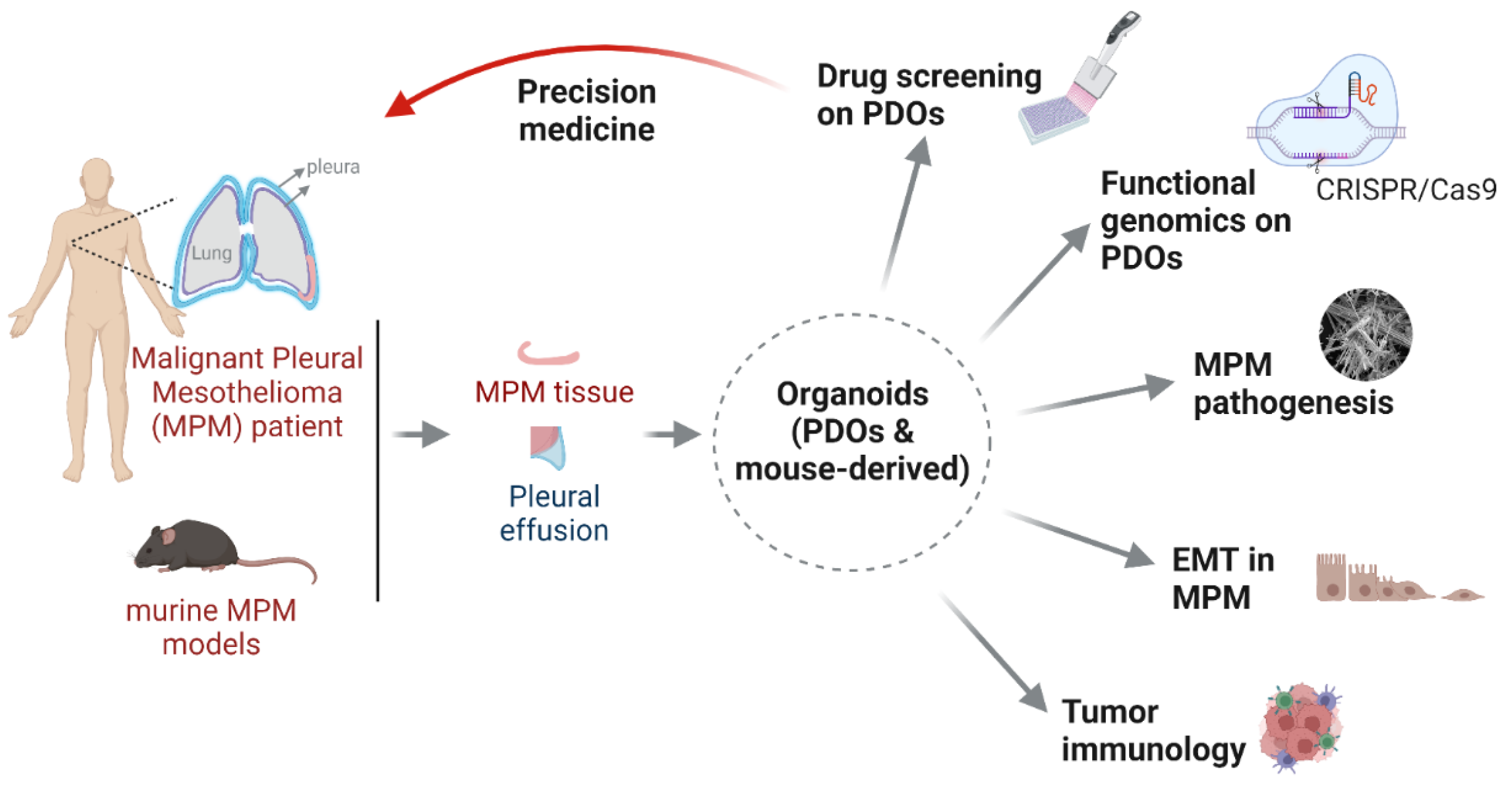 Cancers 14 03758 g001 Cancers 14 03758 g001
