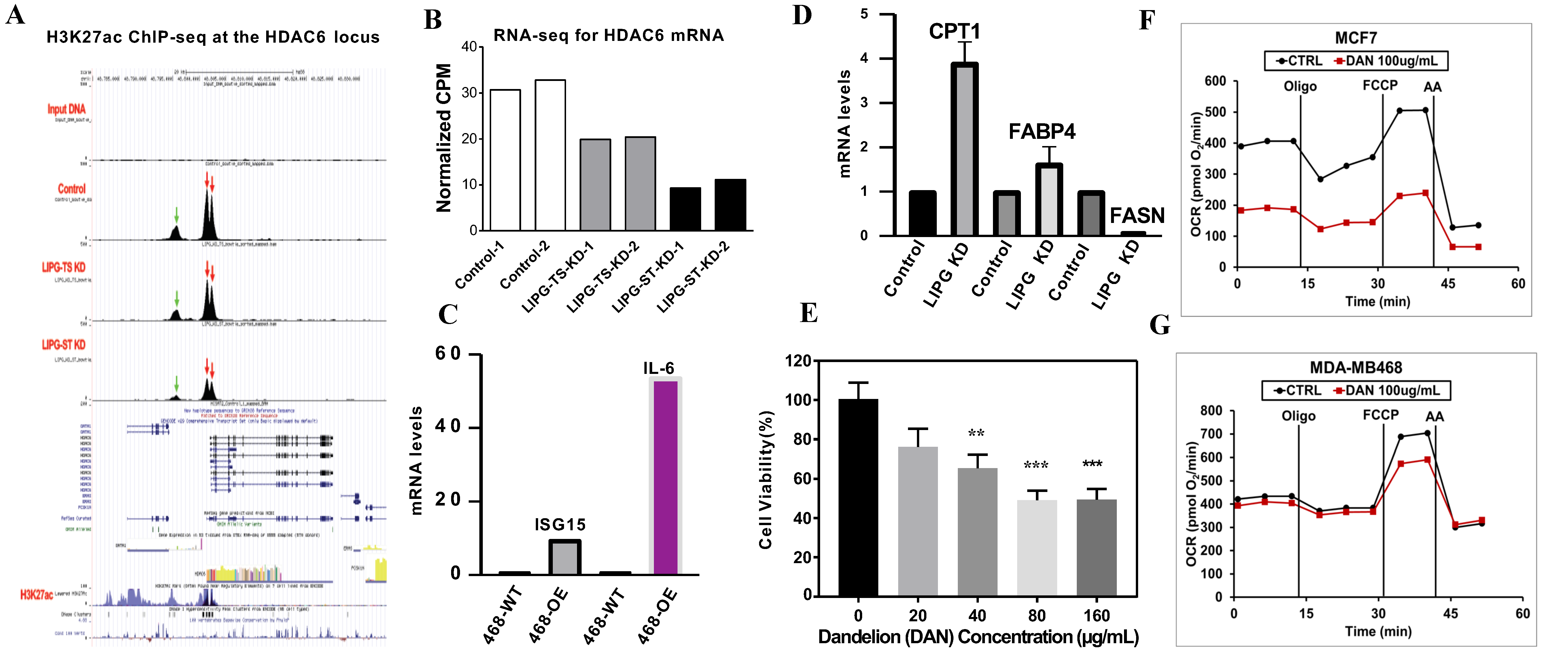 Cancers 14 03763 g003 550