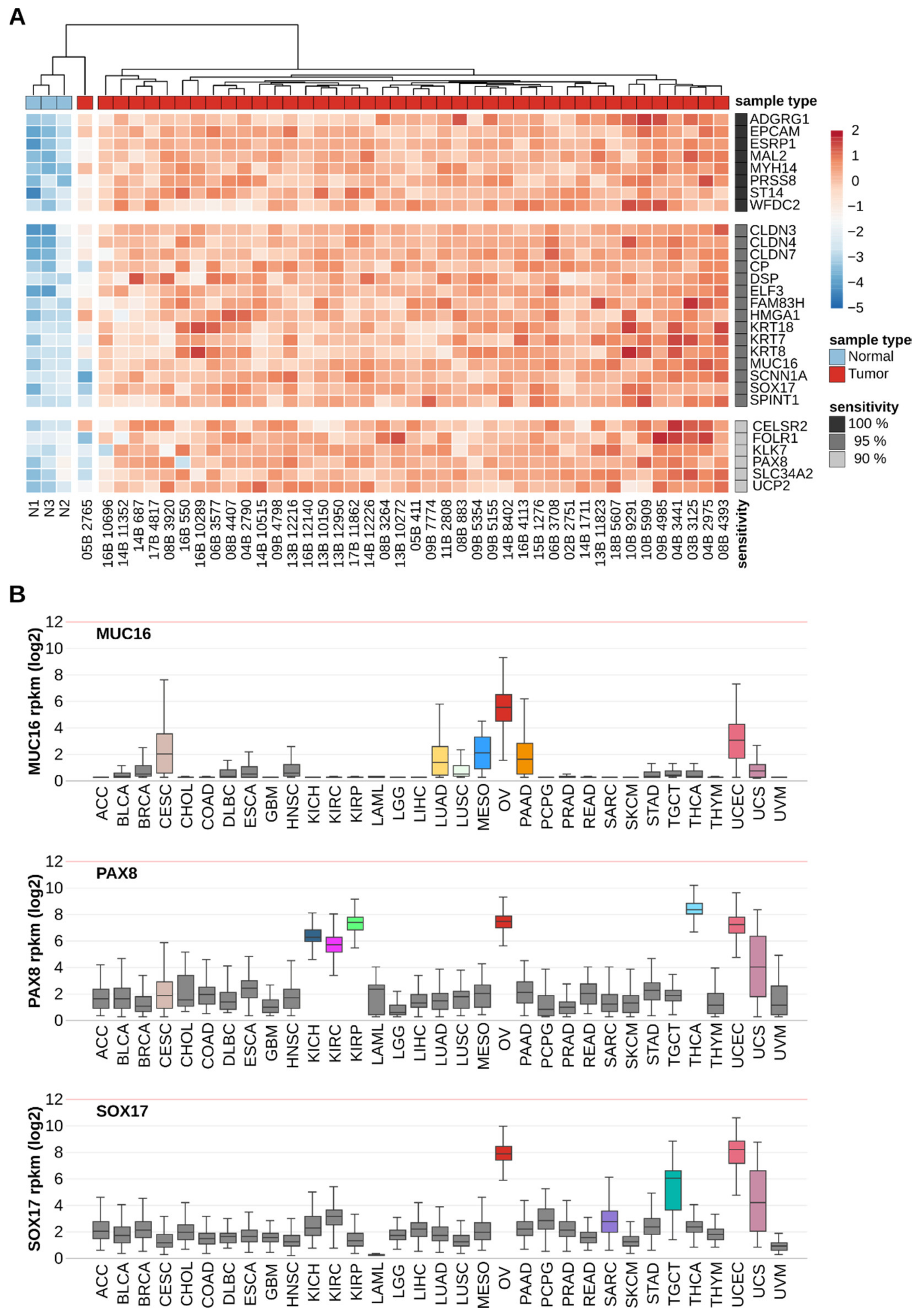 Cancers 14 03764 g004