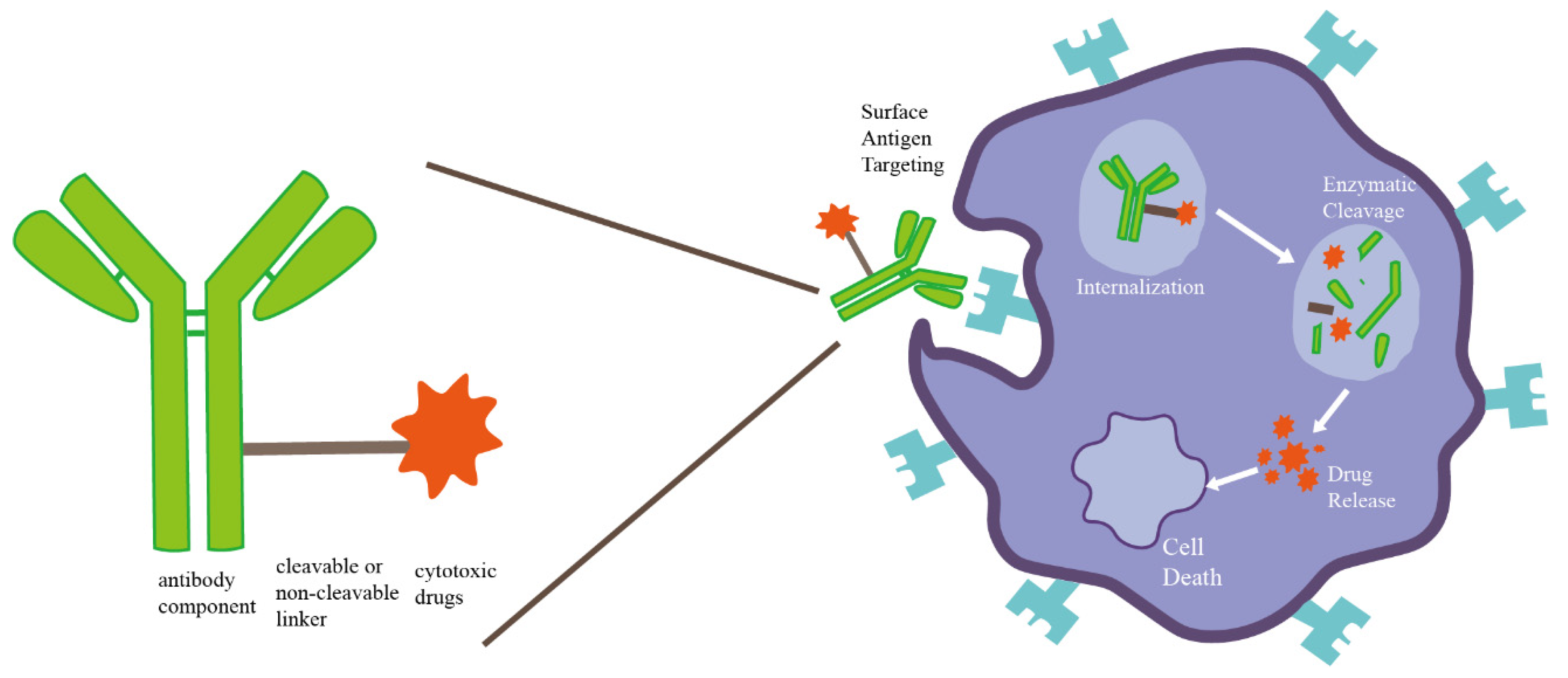 Cancers 14 03774 g002 550