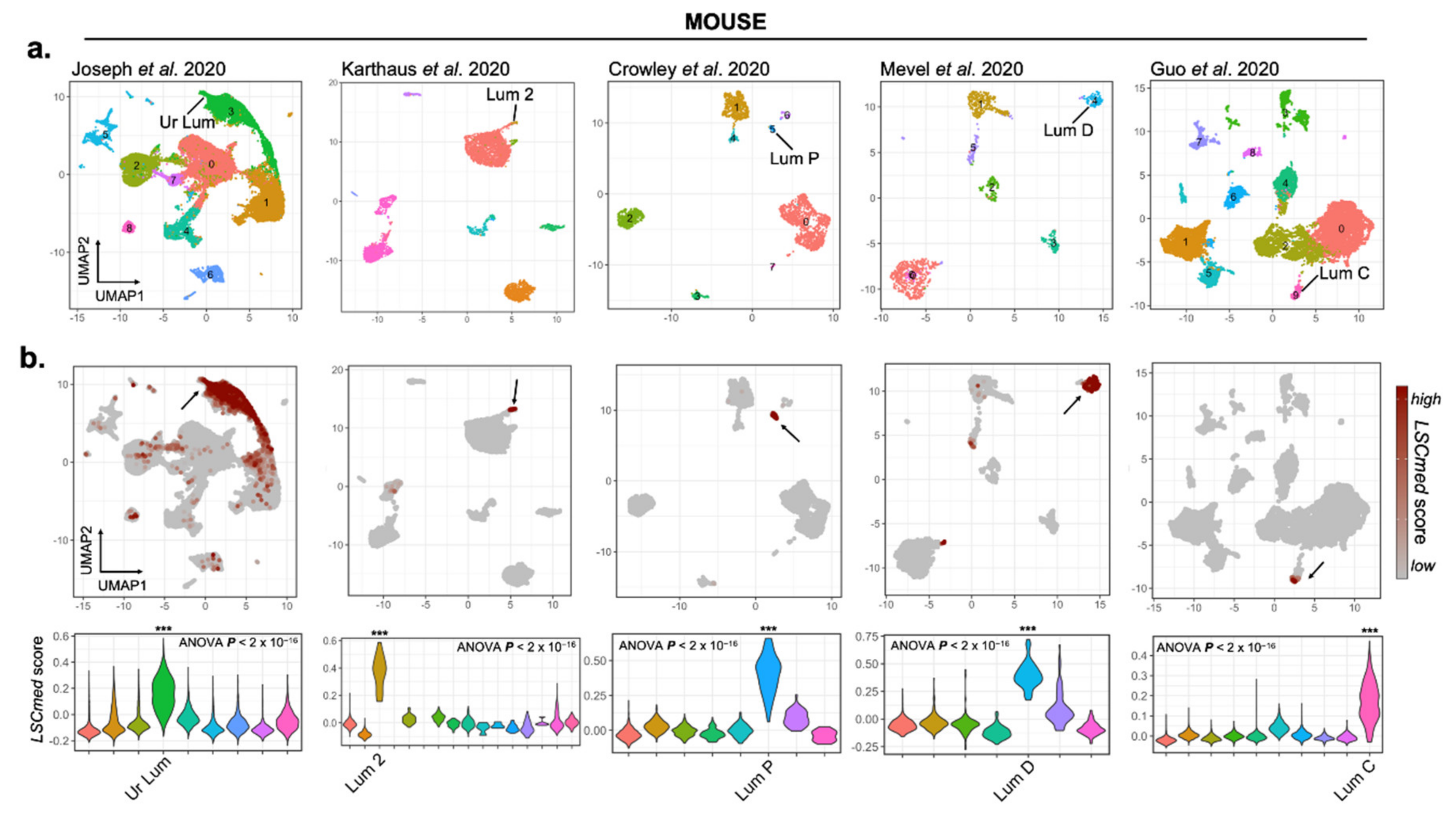 Cancers 14 03775 g001