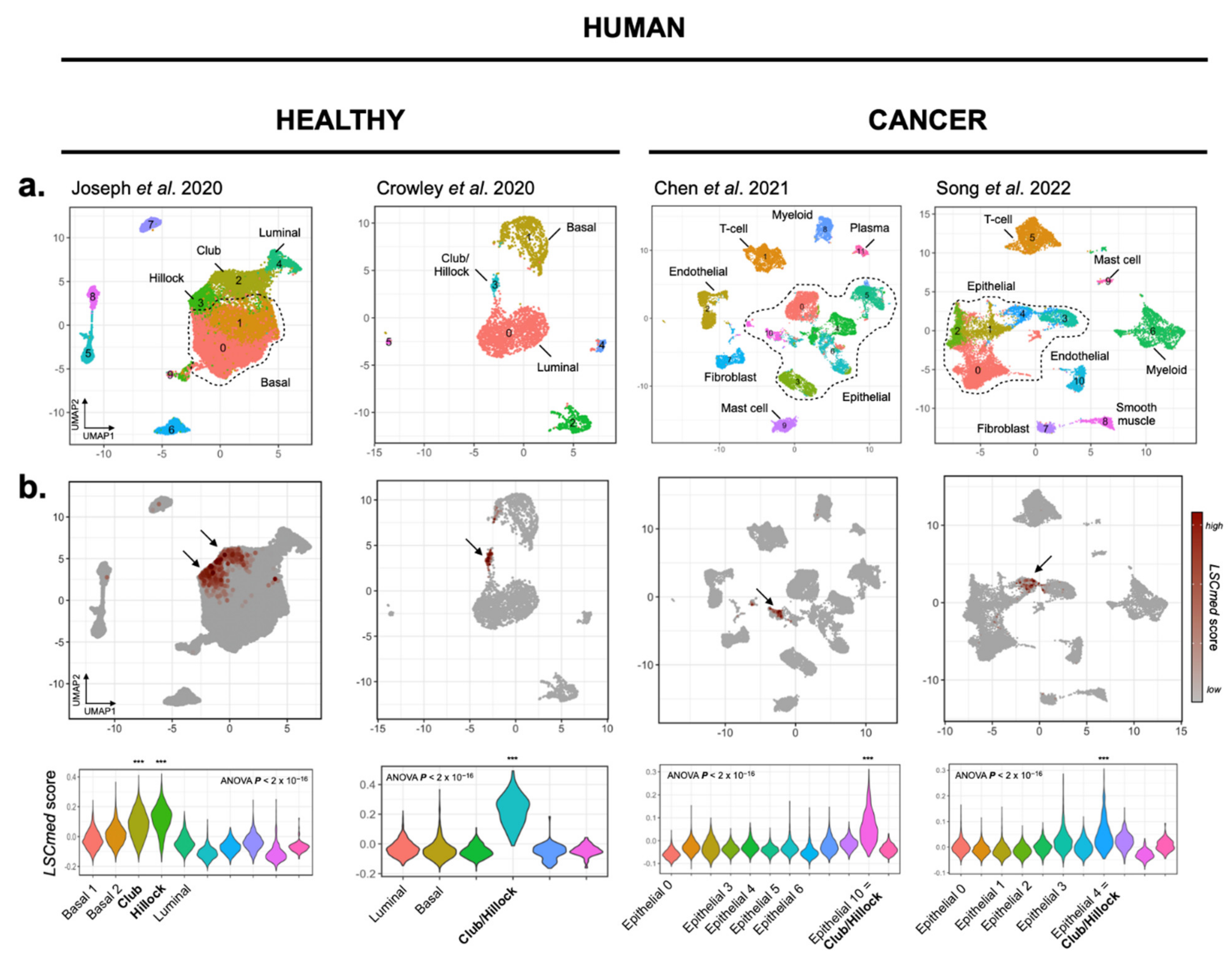 Cancers 14 03775 g003