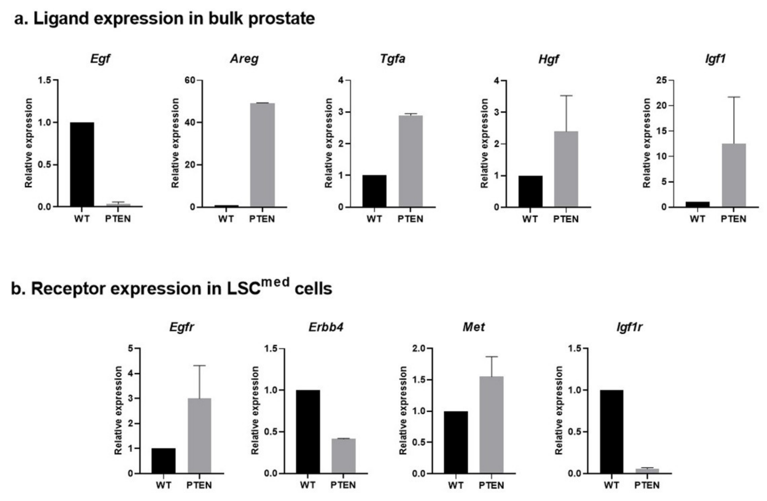 Cancers 14 03775 g005