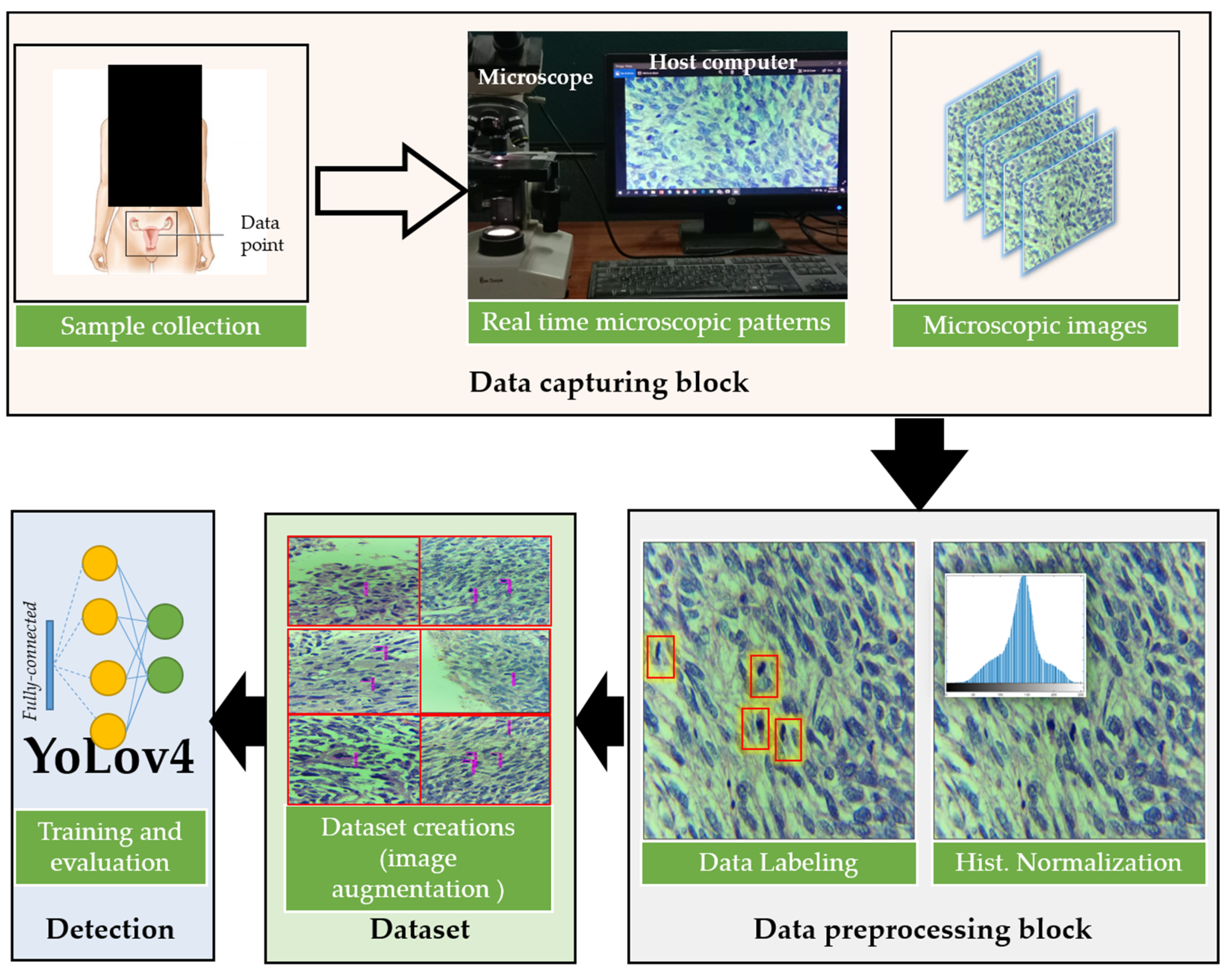 Cancers 14 03785 g002