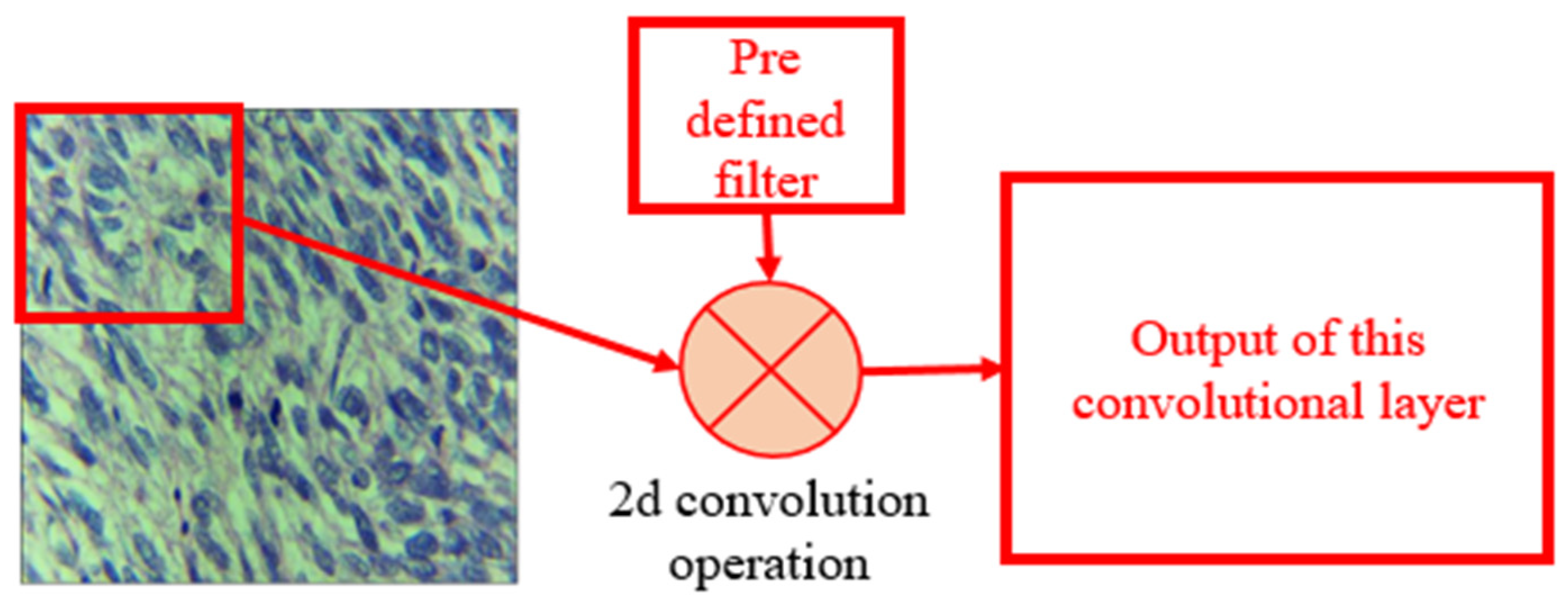 Cancers 14 03785 g005