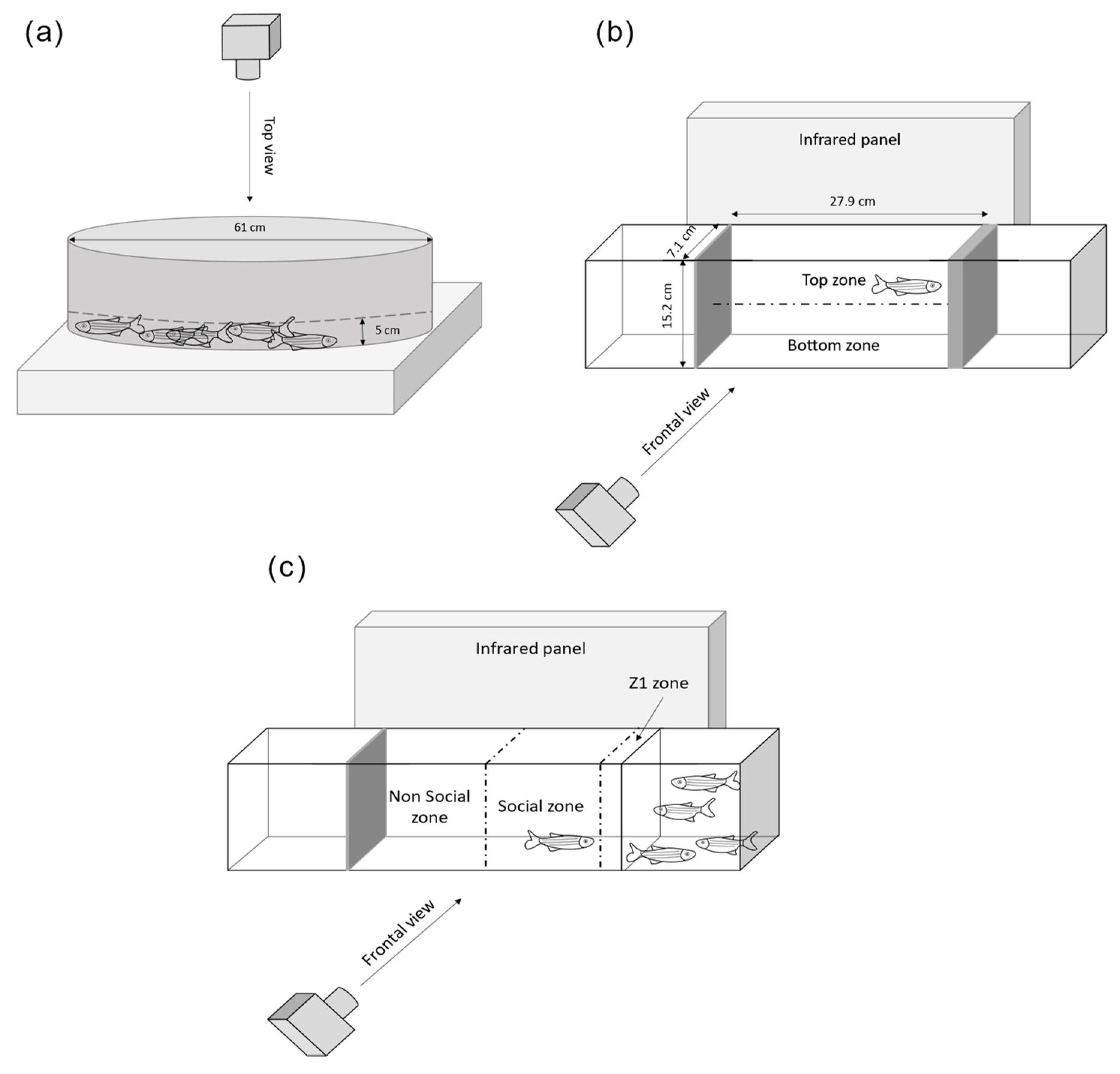Cancers 14 03793 g002 Cancers 14 03793 g002