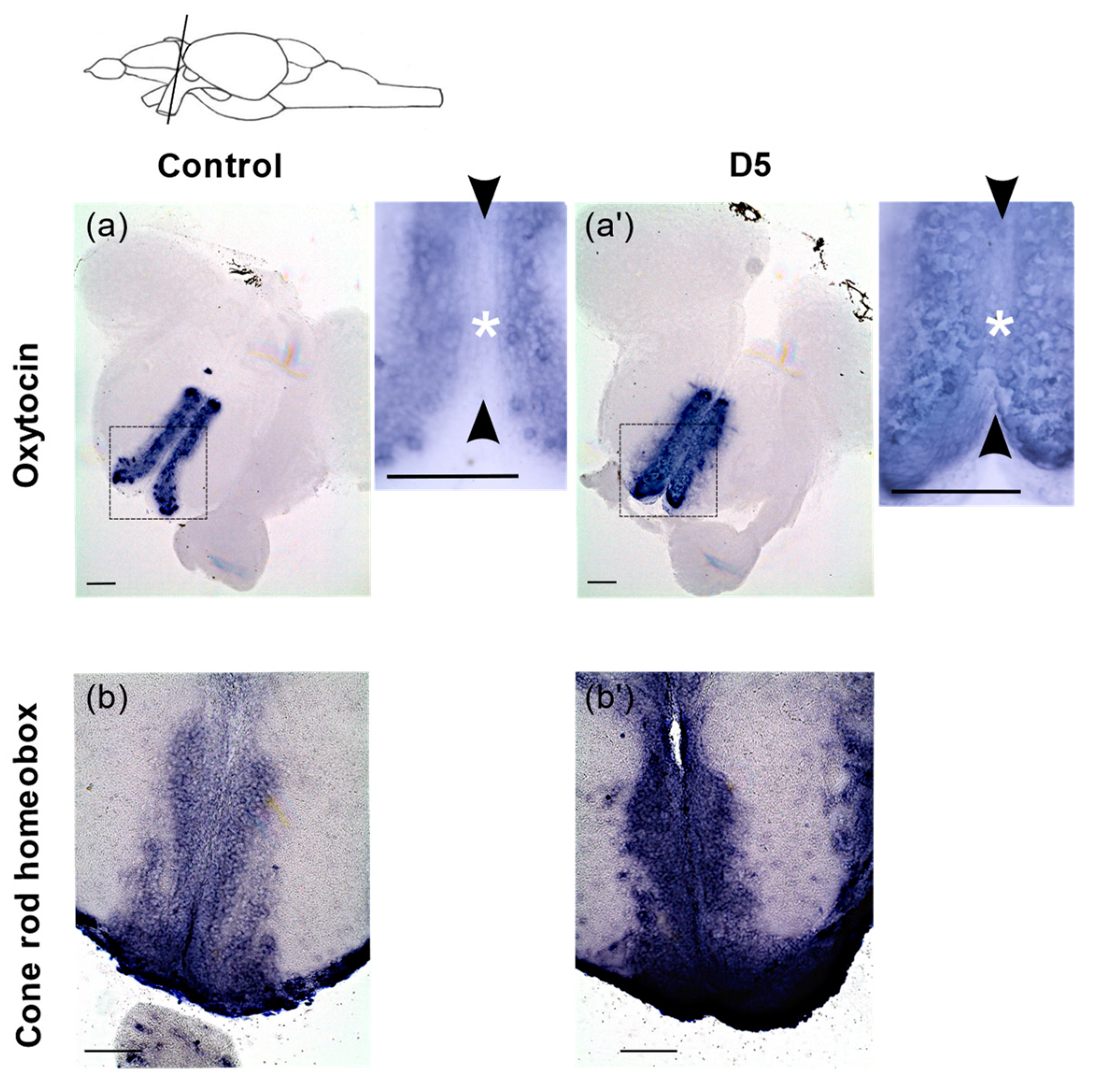 Cancers 14 03793 g007 Cancers 14 03793 g007