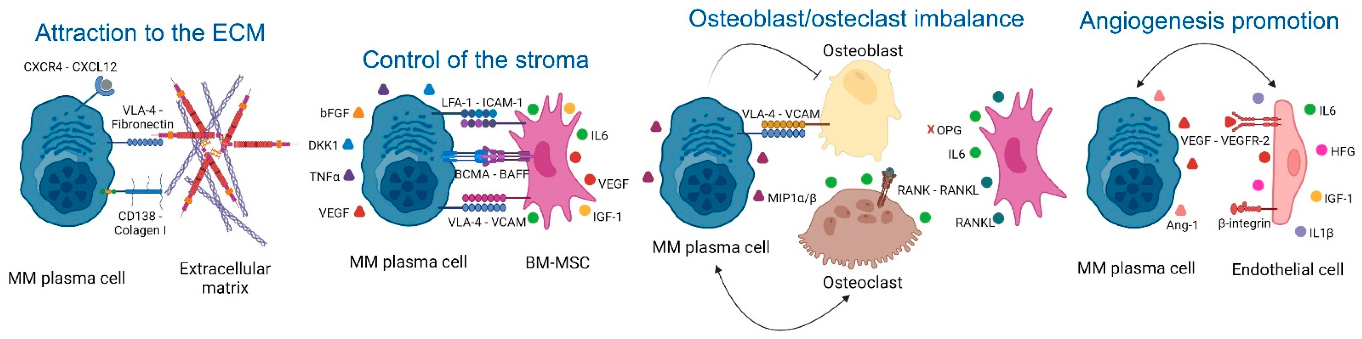 Cancers 14 03796 g001b