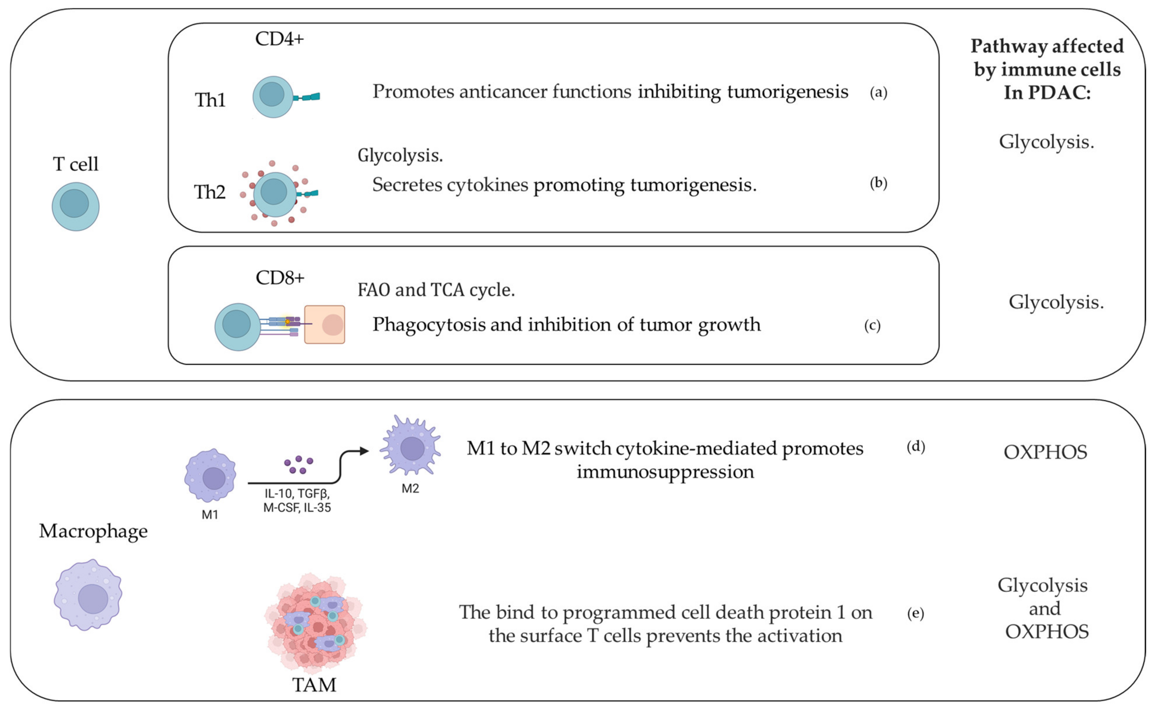 Cancers 14 03799 g002 Cancers 14 03799 g002
