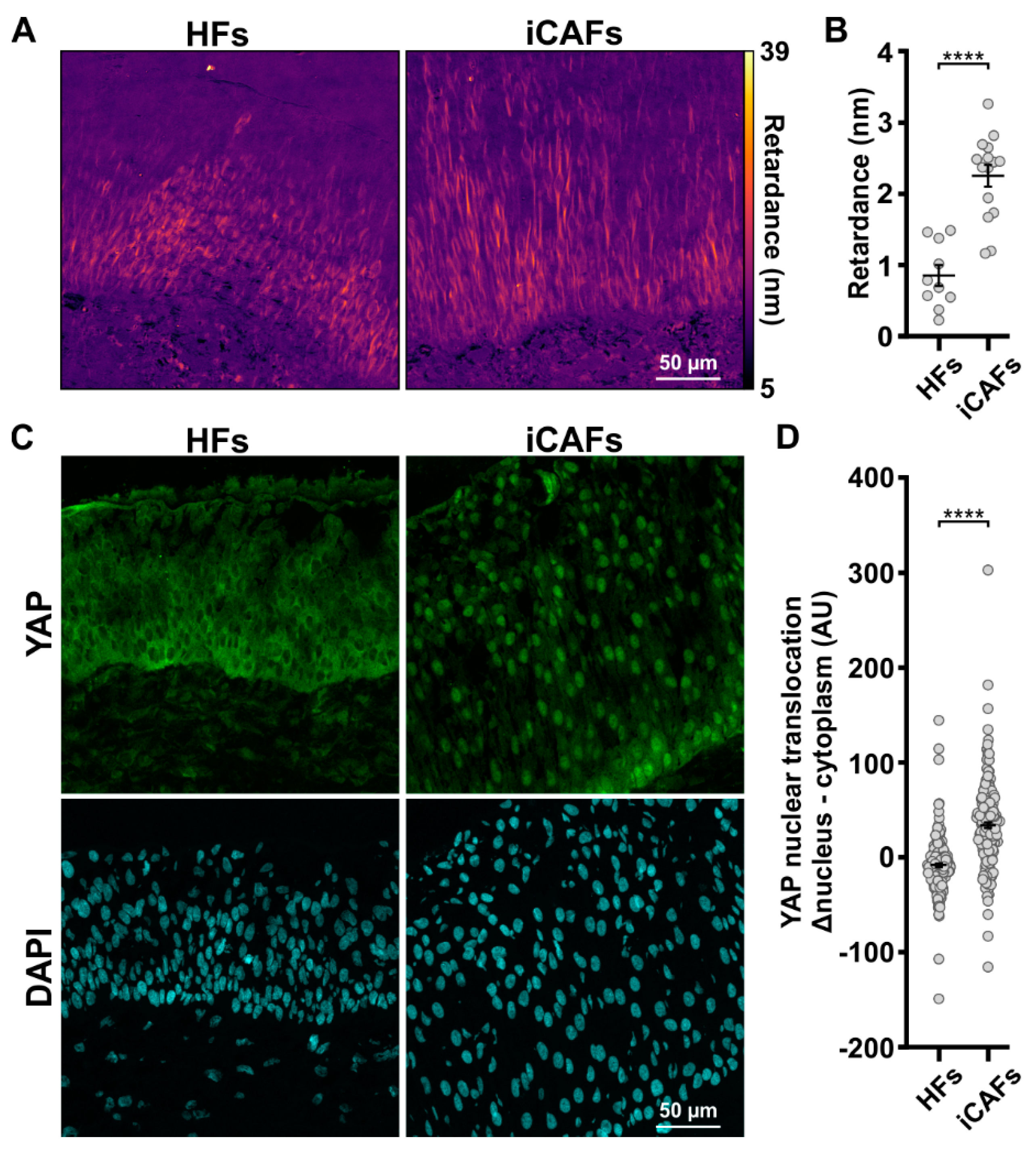 Cancers 14 03810 g003 Cancers 14 03810 g003