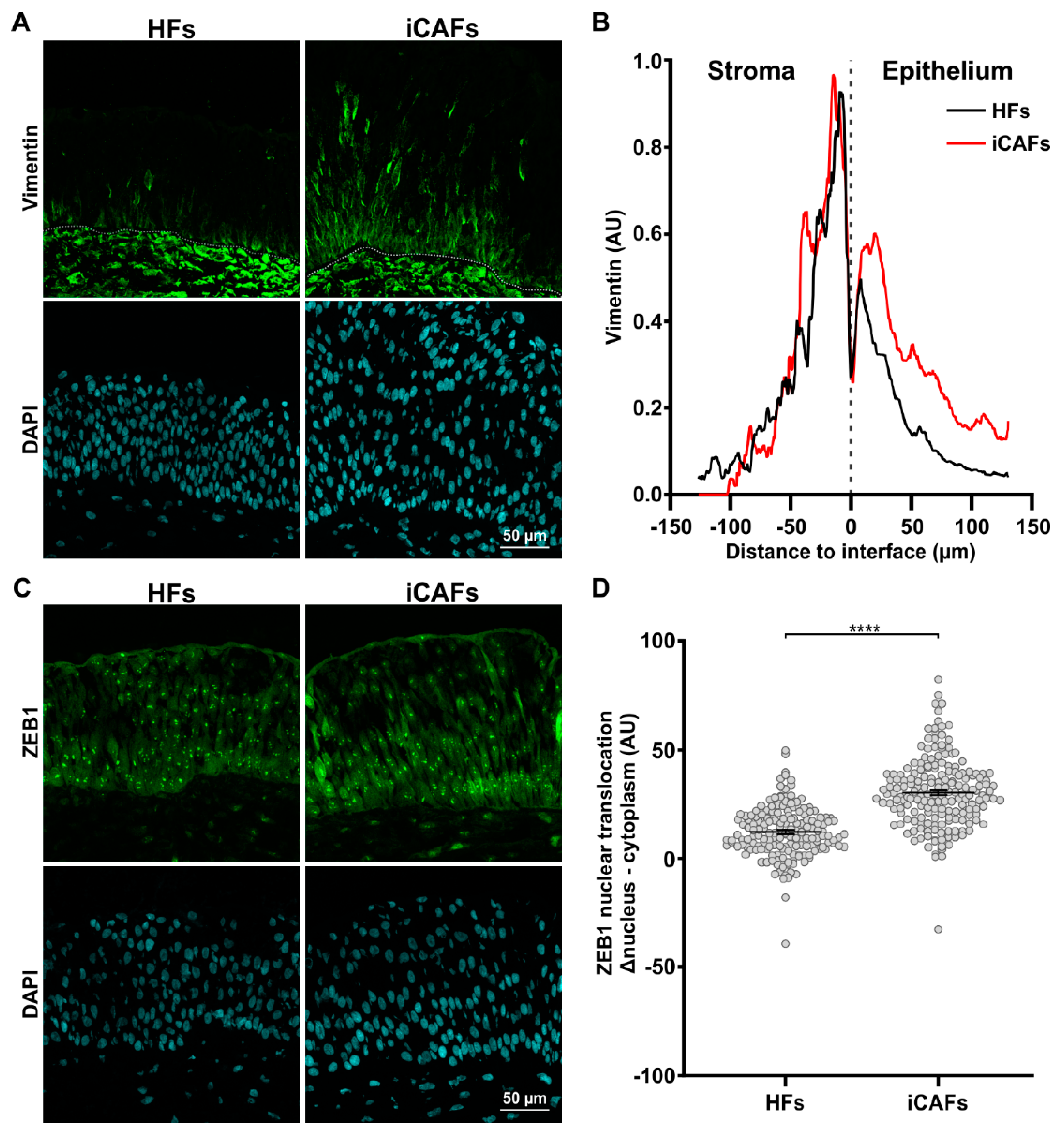 Cancers 14 03810 g005 Cancers 14 03810 g005