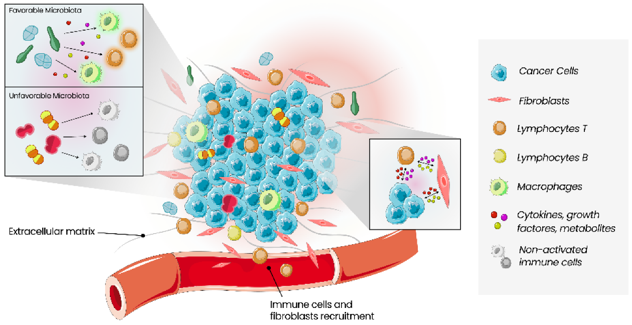 Cancers 14 03811 g001