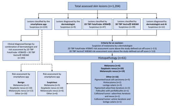 Cancers | Free Full-Text | Over-Detection of Melanoma-Suspect Lesions ...