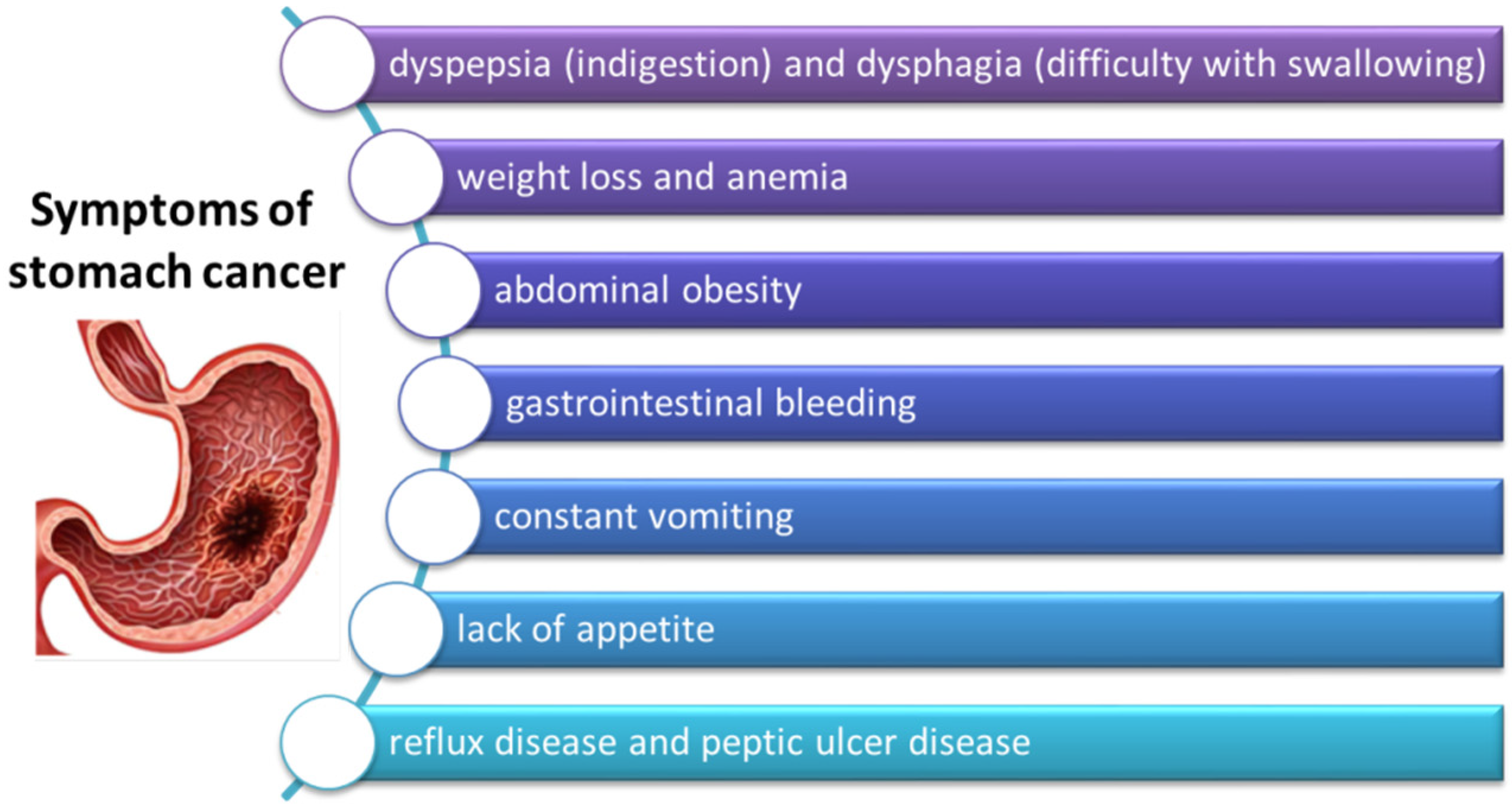 Cancers 14 03832 g005 Cancers 14 03832 g005