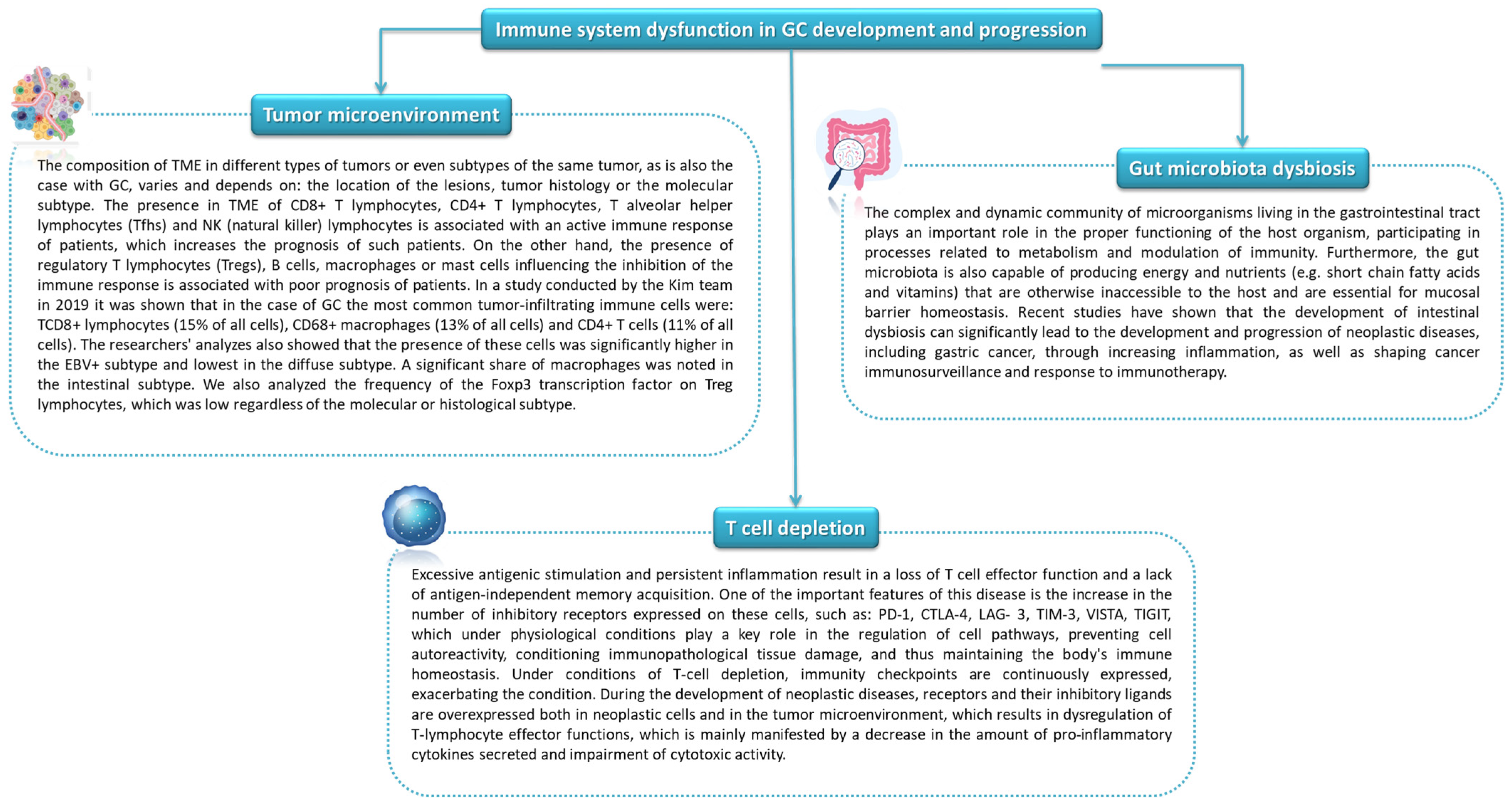 Cancers 14 03832 g007 Cancers 14 03832 g007