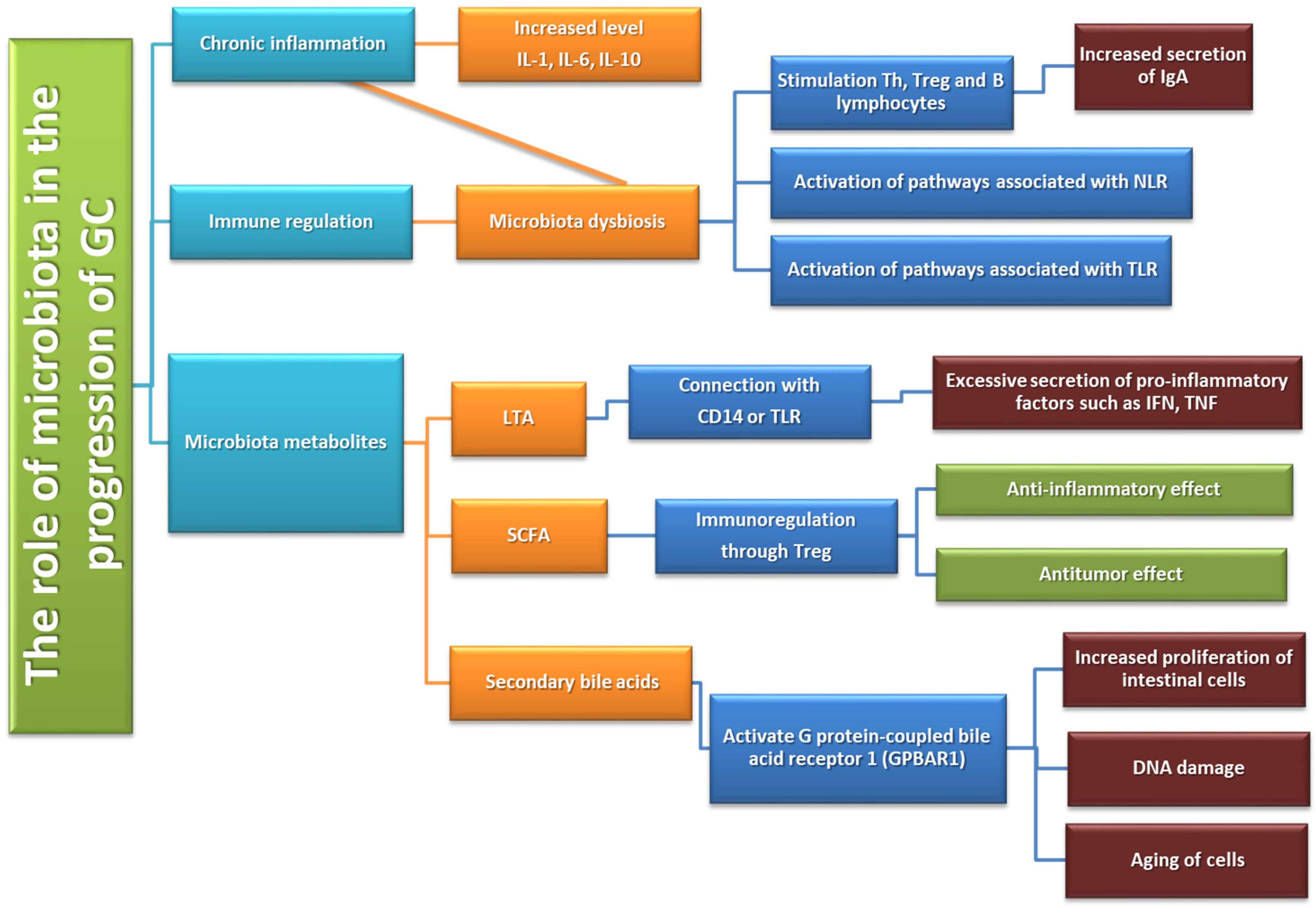 Cancers 14 03832 g008 Cancers 14 03832 g008