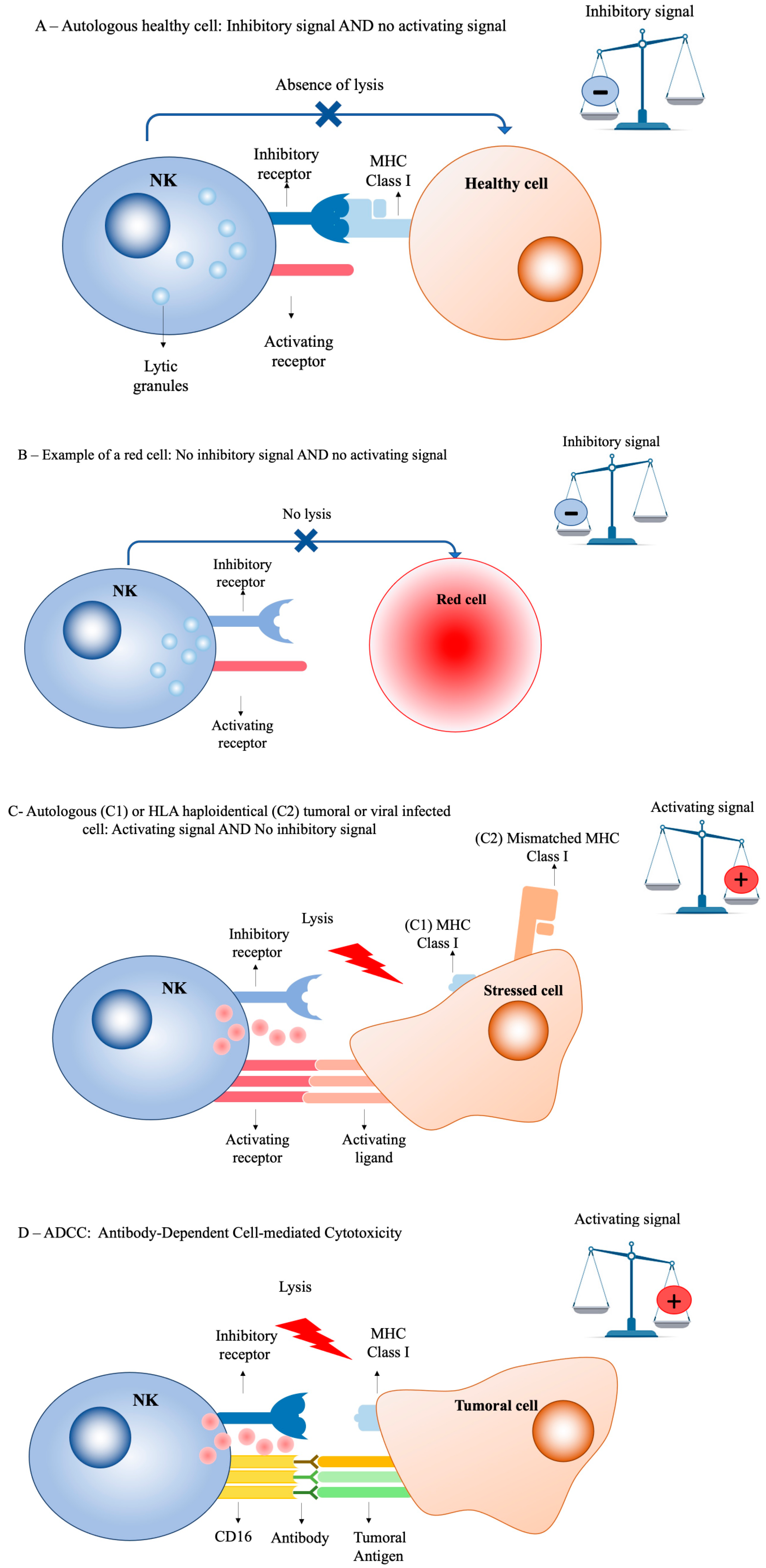 Cancers 14 03839 g001 Cancers 14 03839 g001
