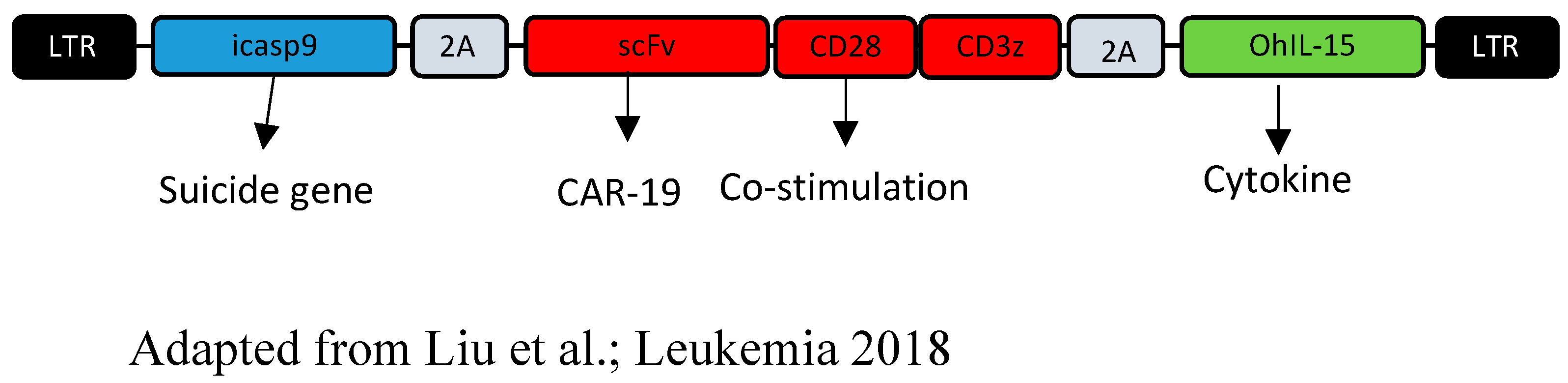 Cancers 14 03839 g003 Cancers 14 03839 g003