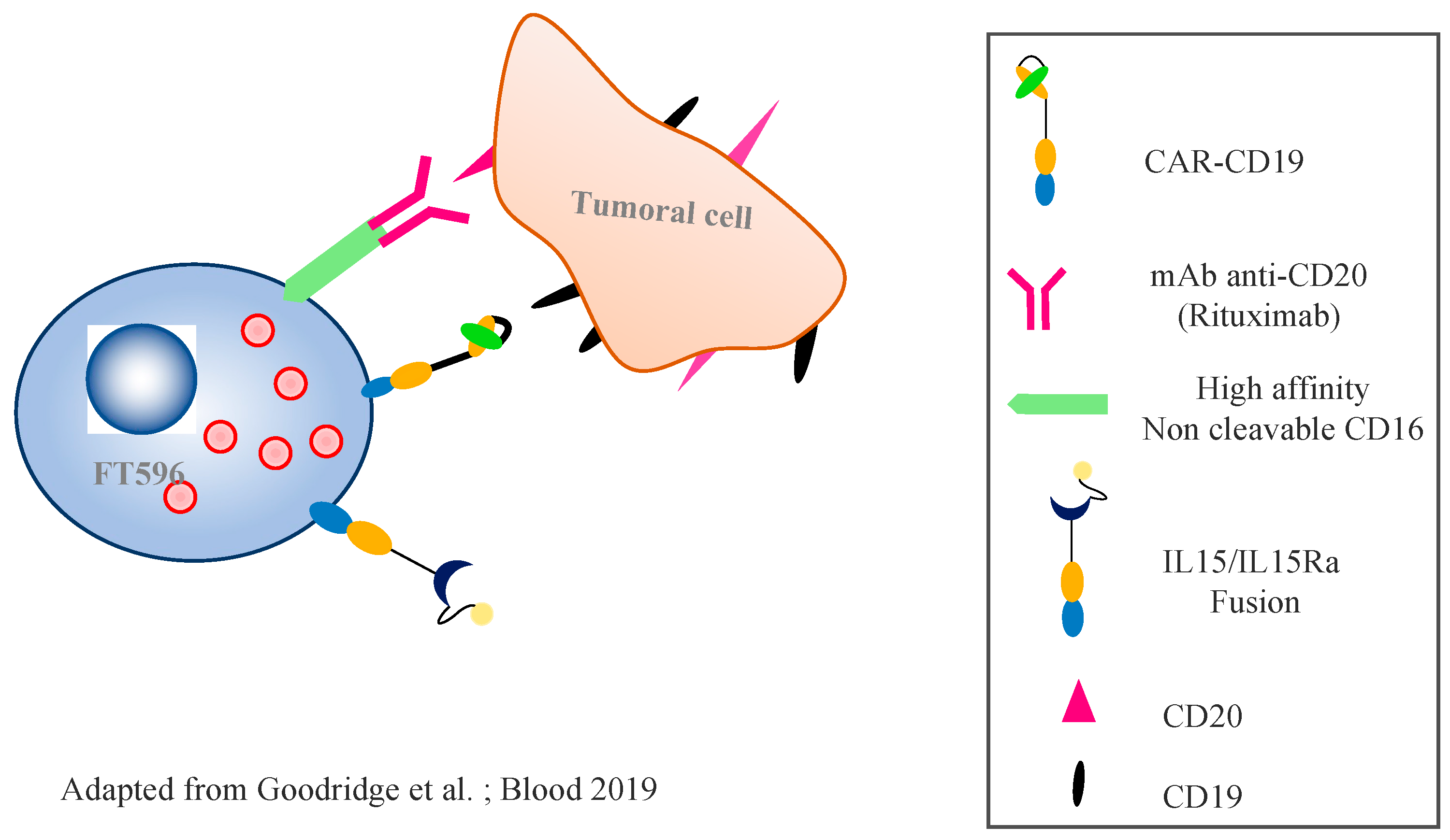 Cancers 14 03839 g004 Cancers 14 03839 g004
