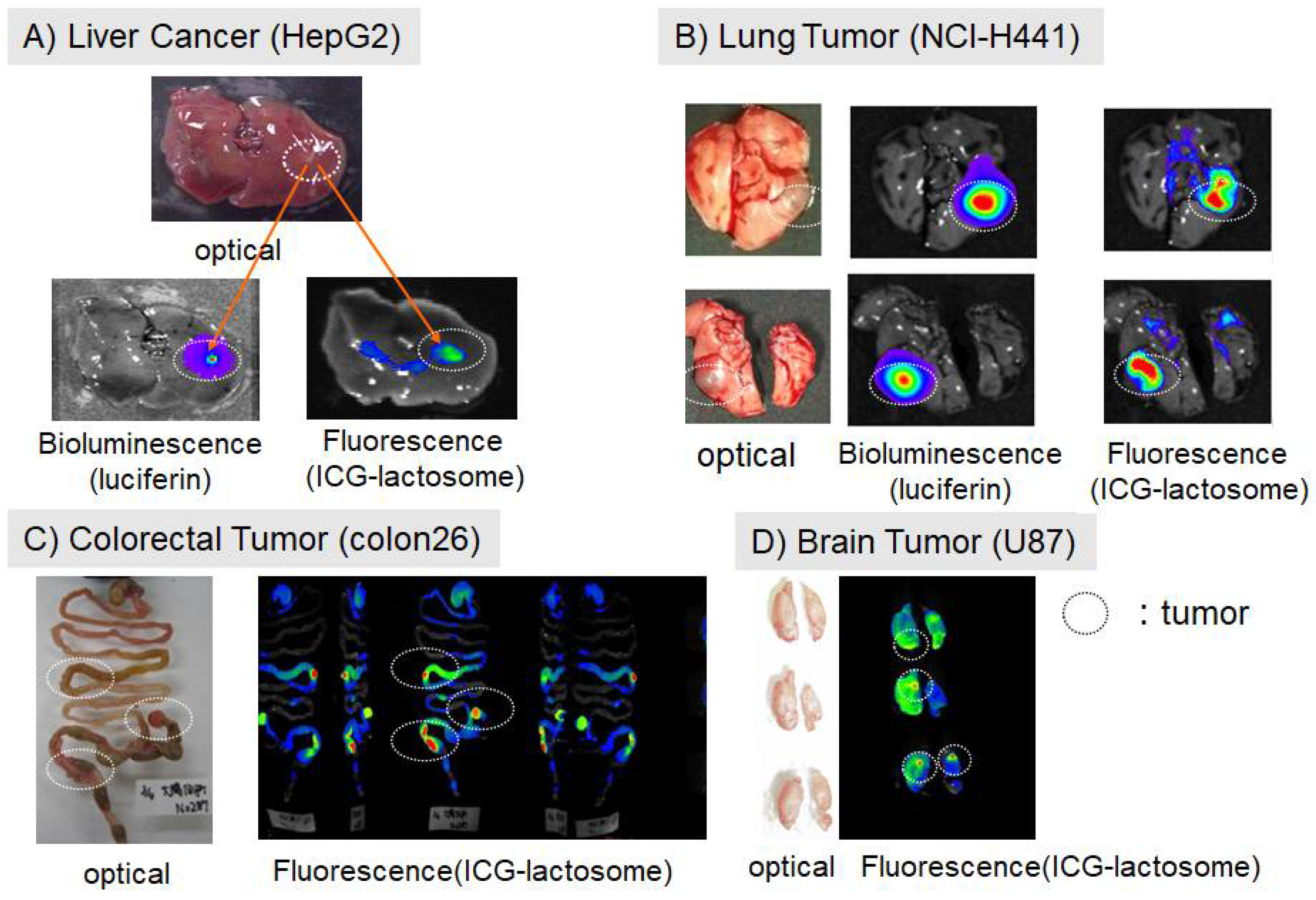 Cancers 14 03840 g002 550