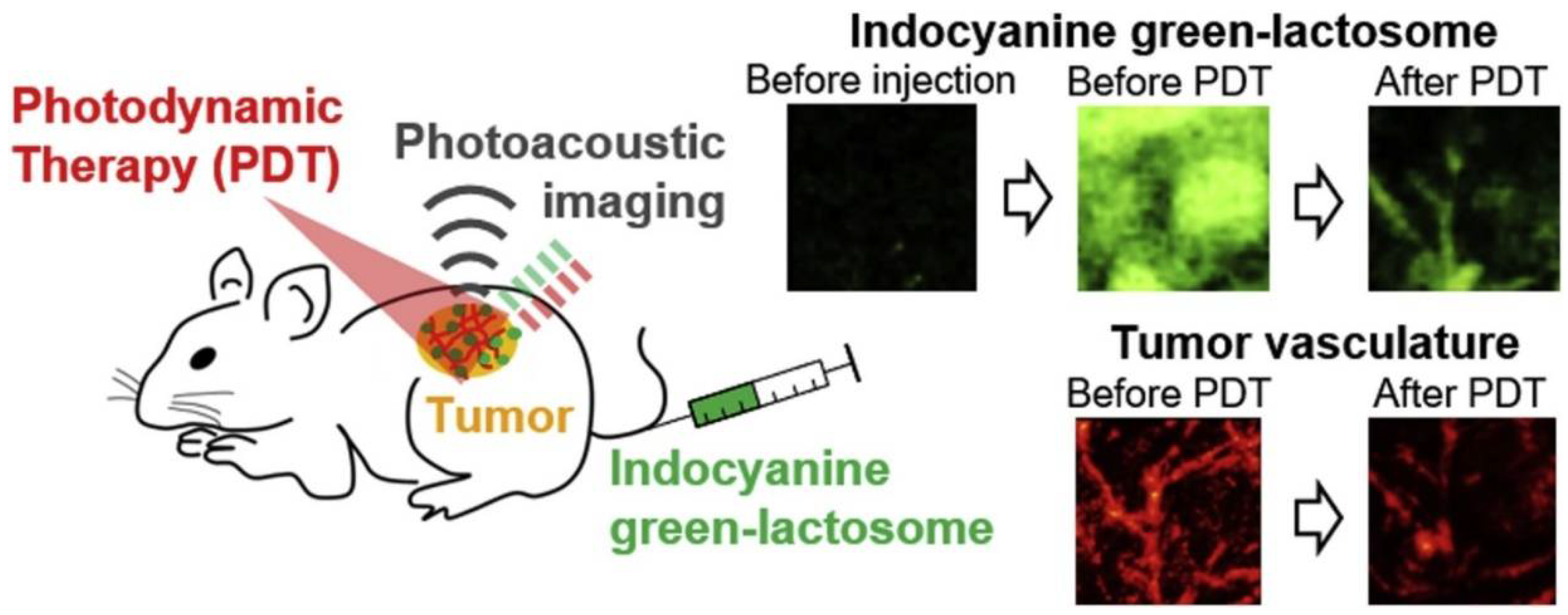 Cancers 14 03840 g003 550