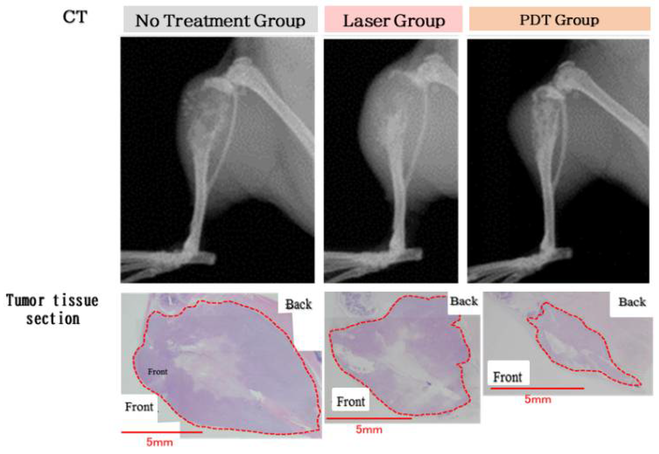 Cancers 14 03840 g005 550
