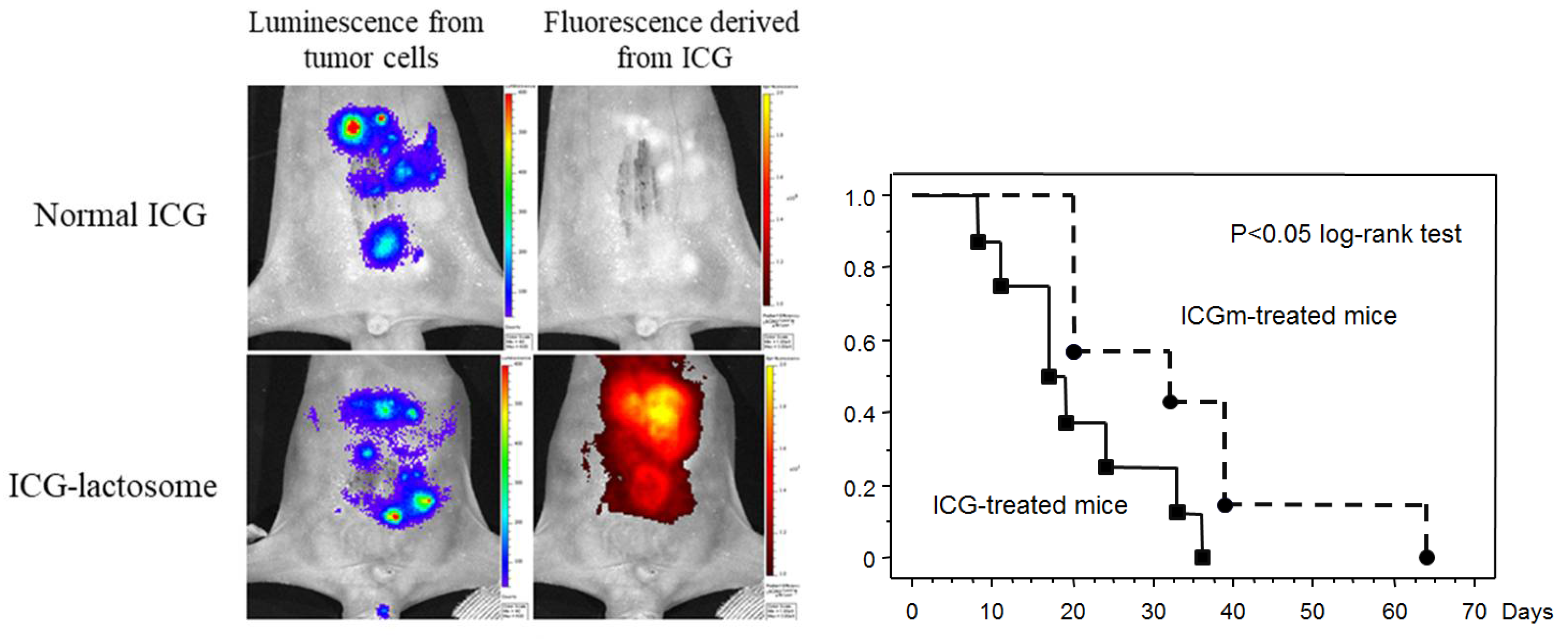 Cancers 14 03840 g006 550