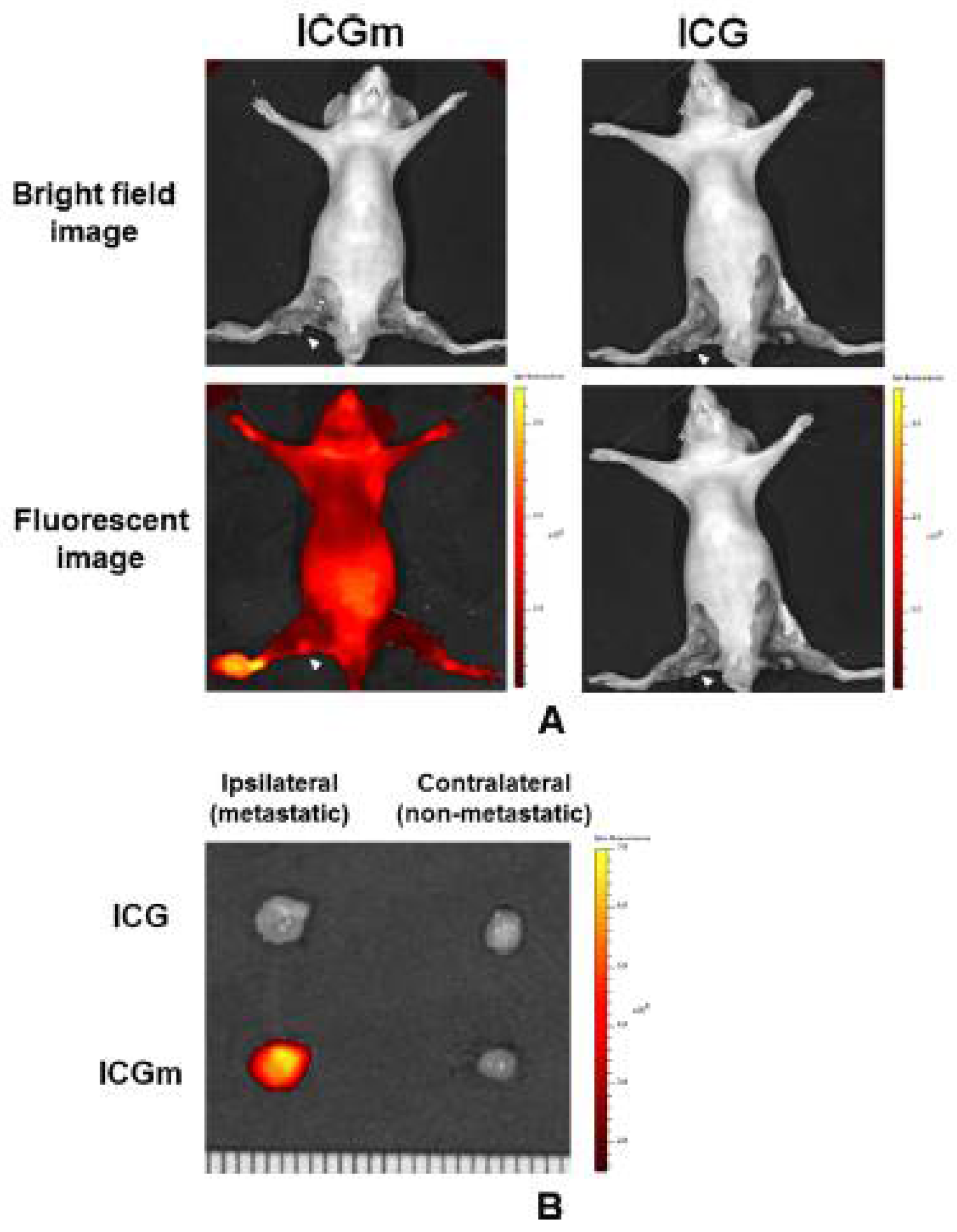 Cancers 14 03840 g007 550