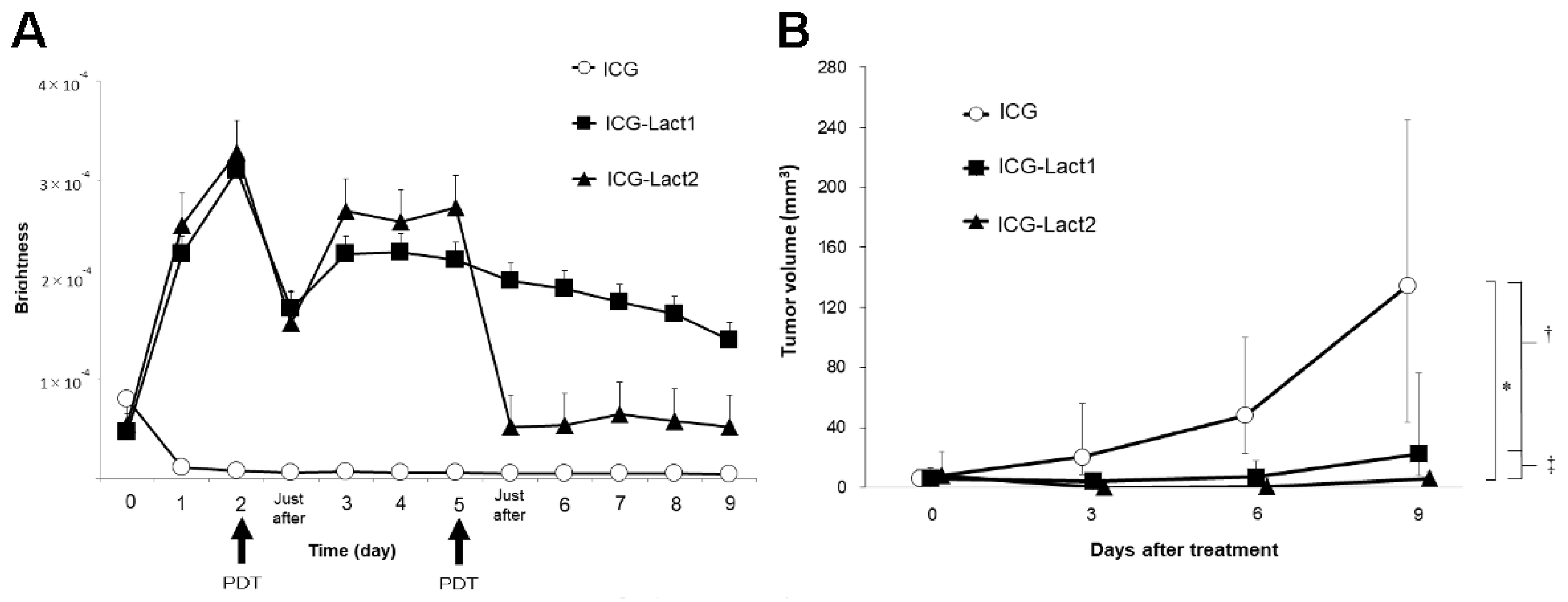 Cancers 14 03840 g008 550