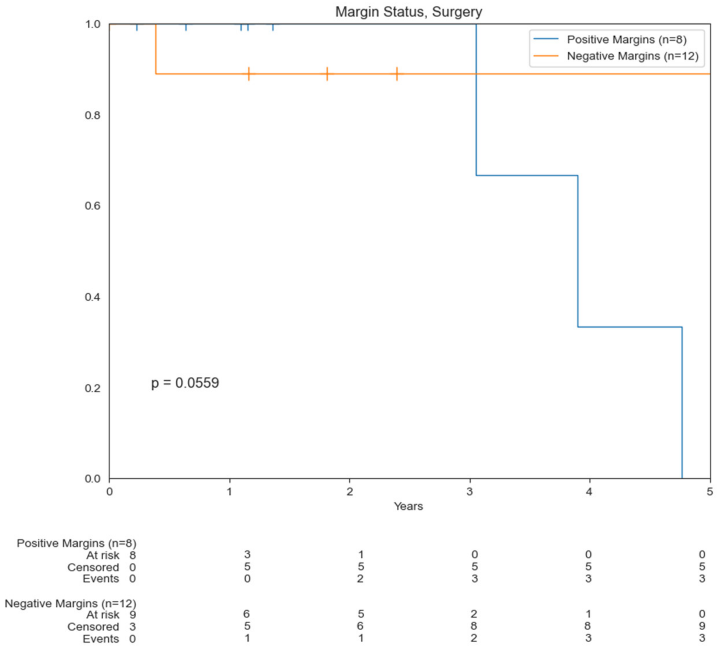 Cancers 14 03841 g004 550