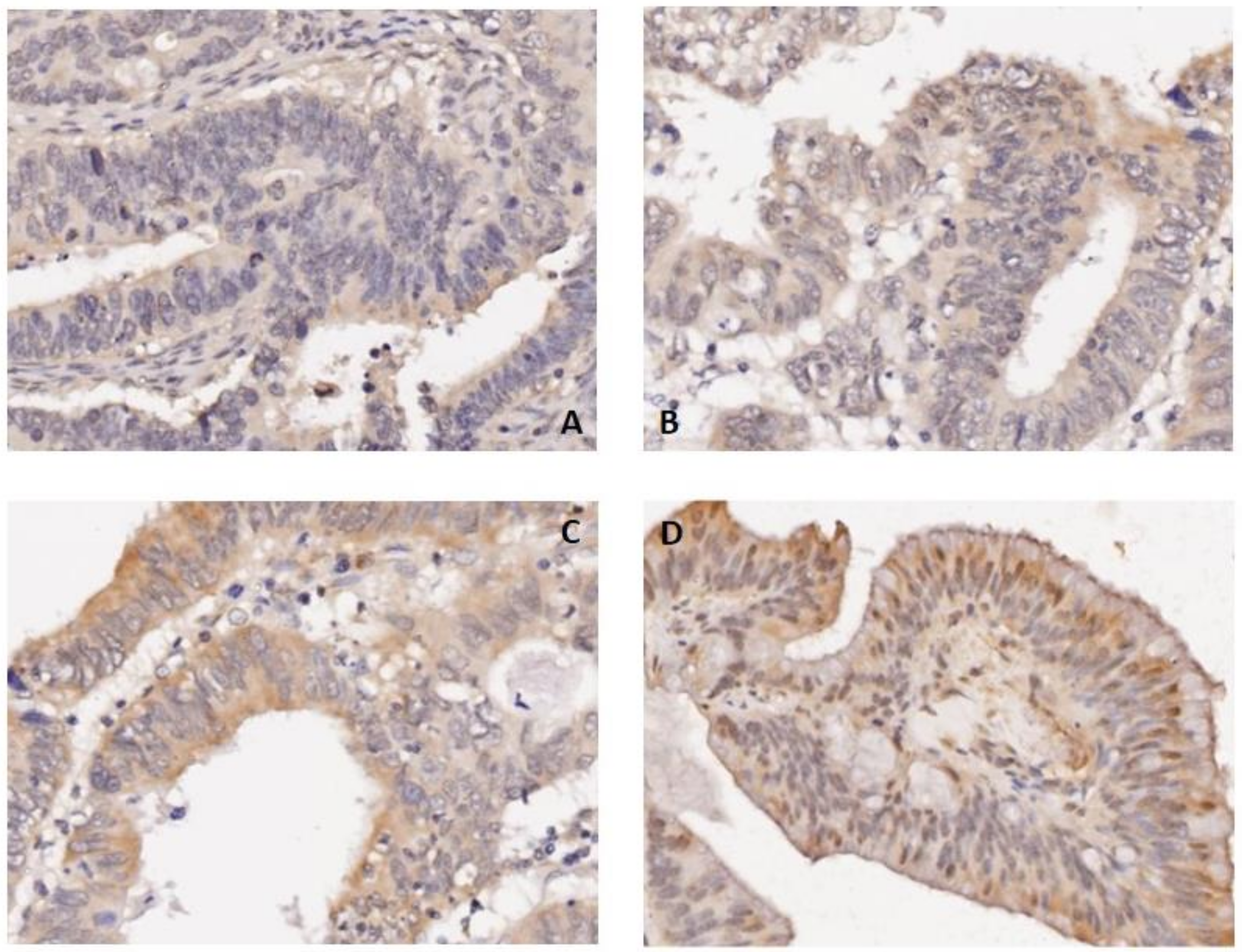 Cancers 14 03843 g001 550