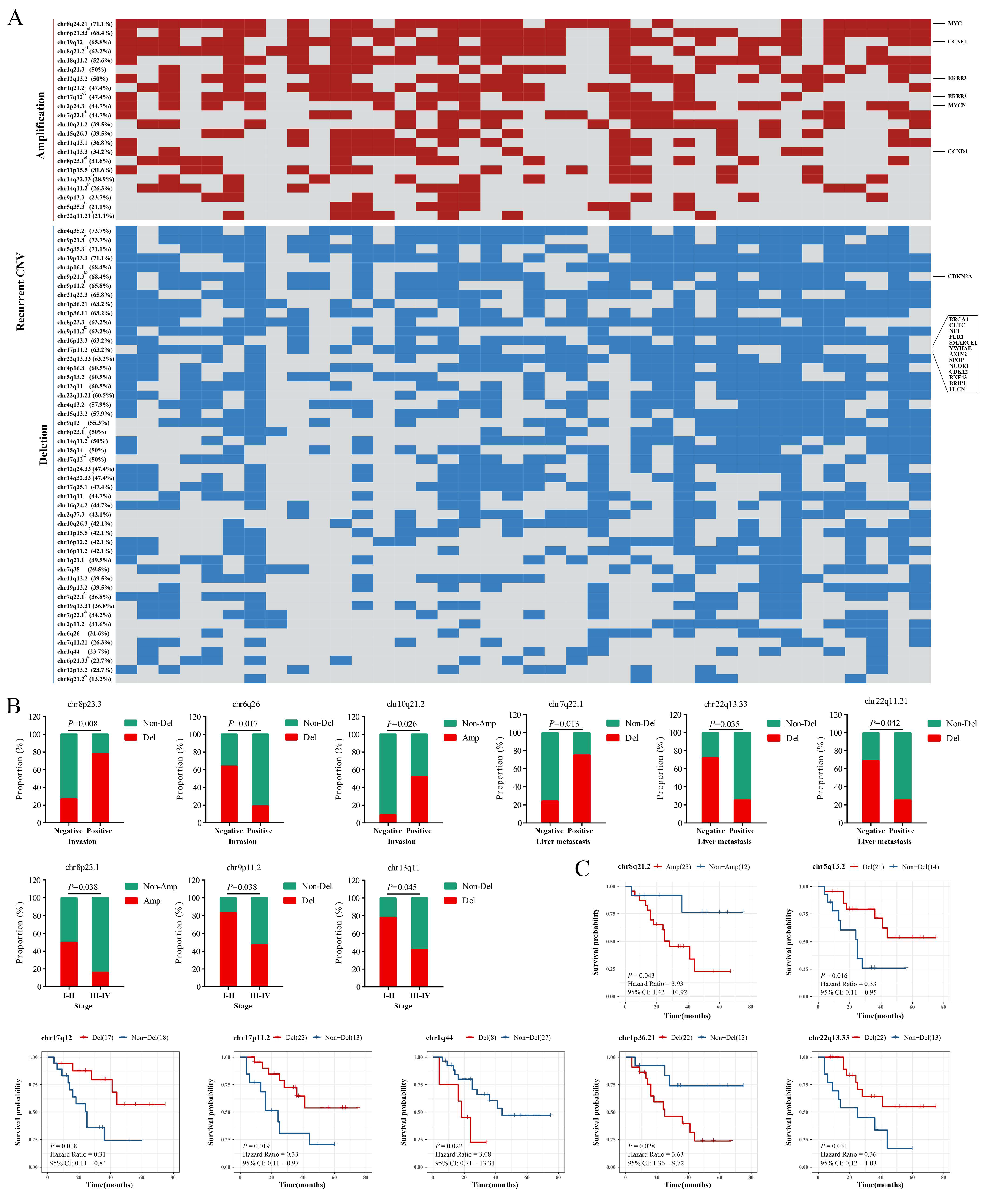 Cancers 14 03849 g004 Cancers 14 03849 g004