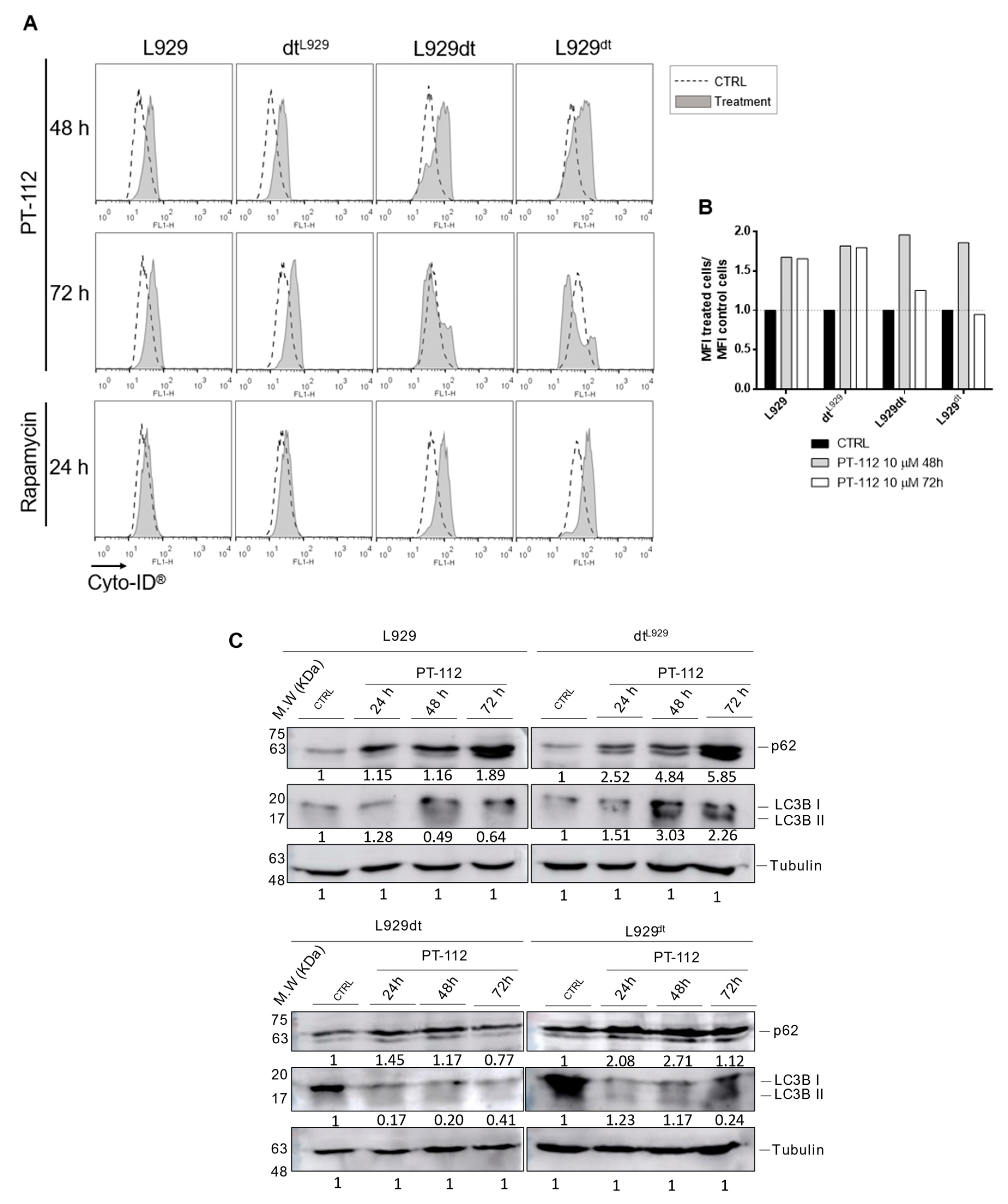 Cancers 14 03851 g004