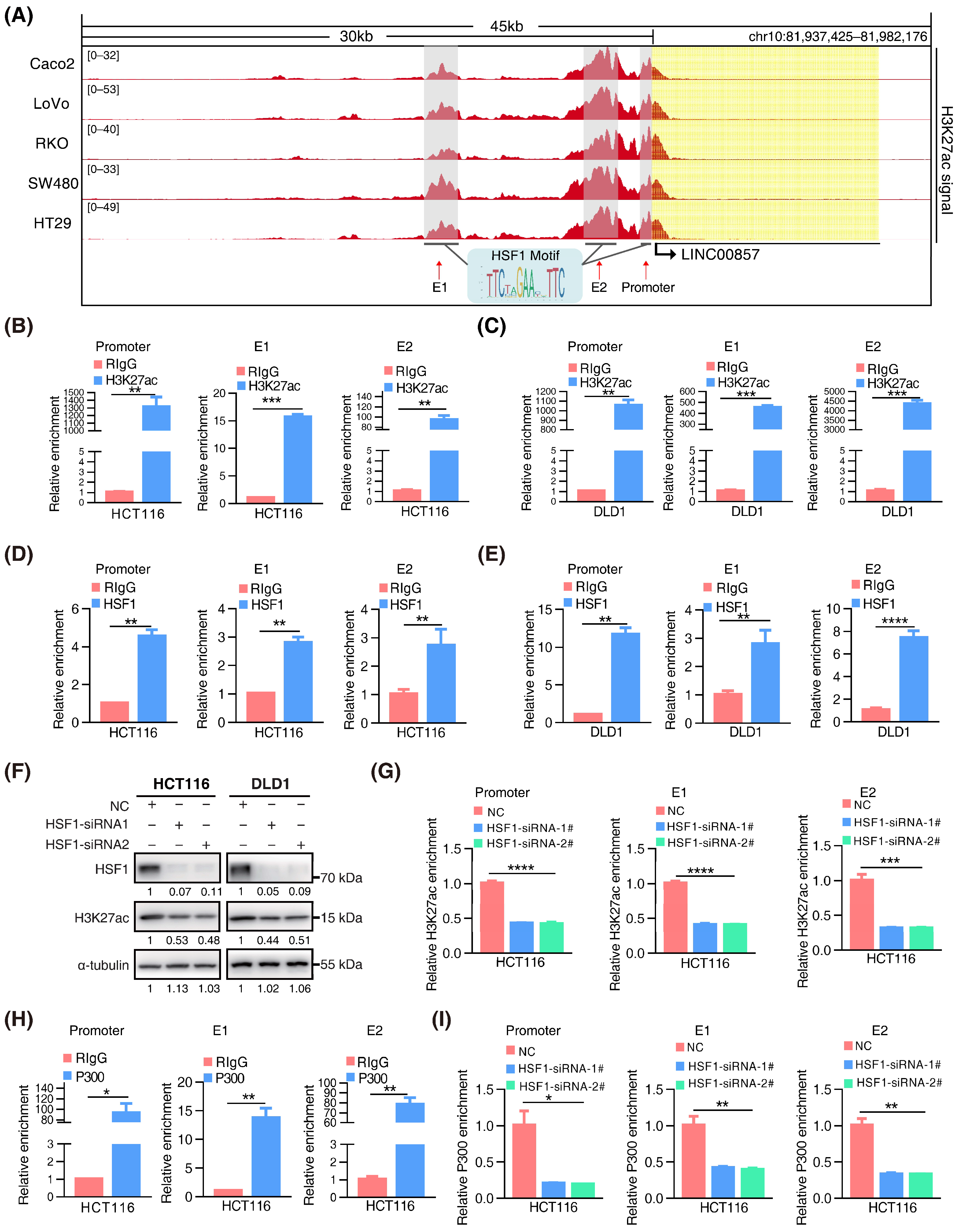 Cancers 14 03855 g003
