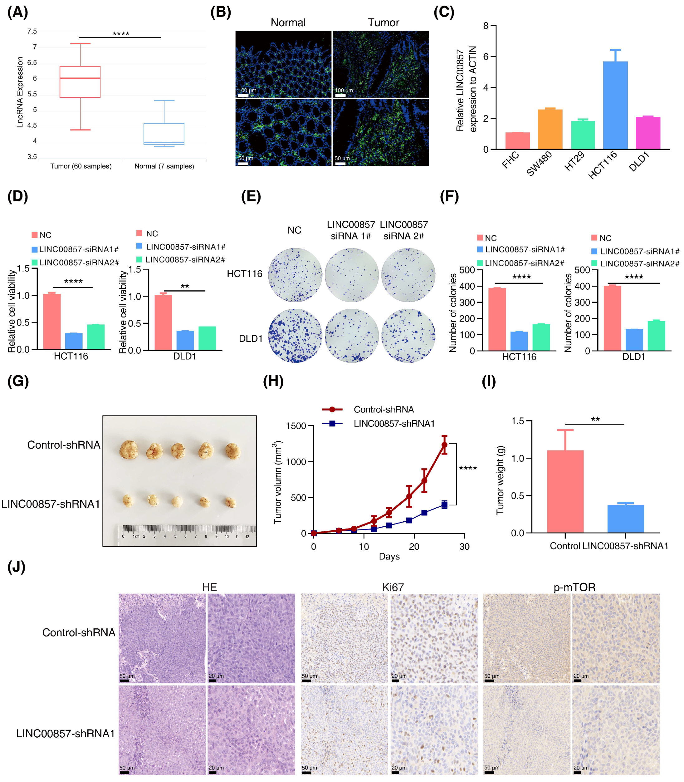 Cancers 14 03855 g004