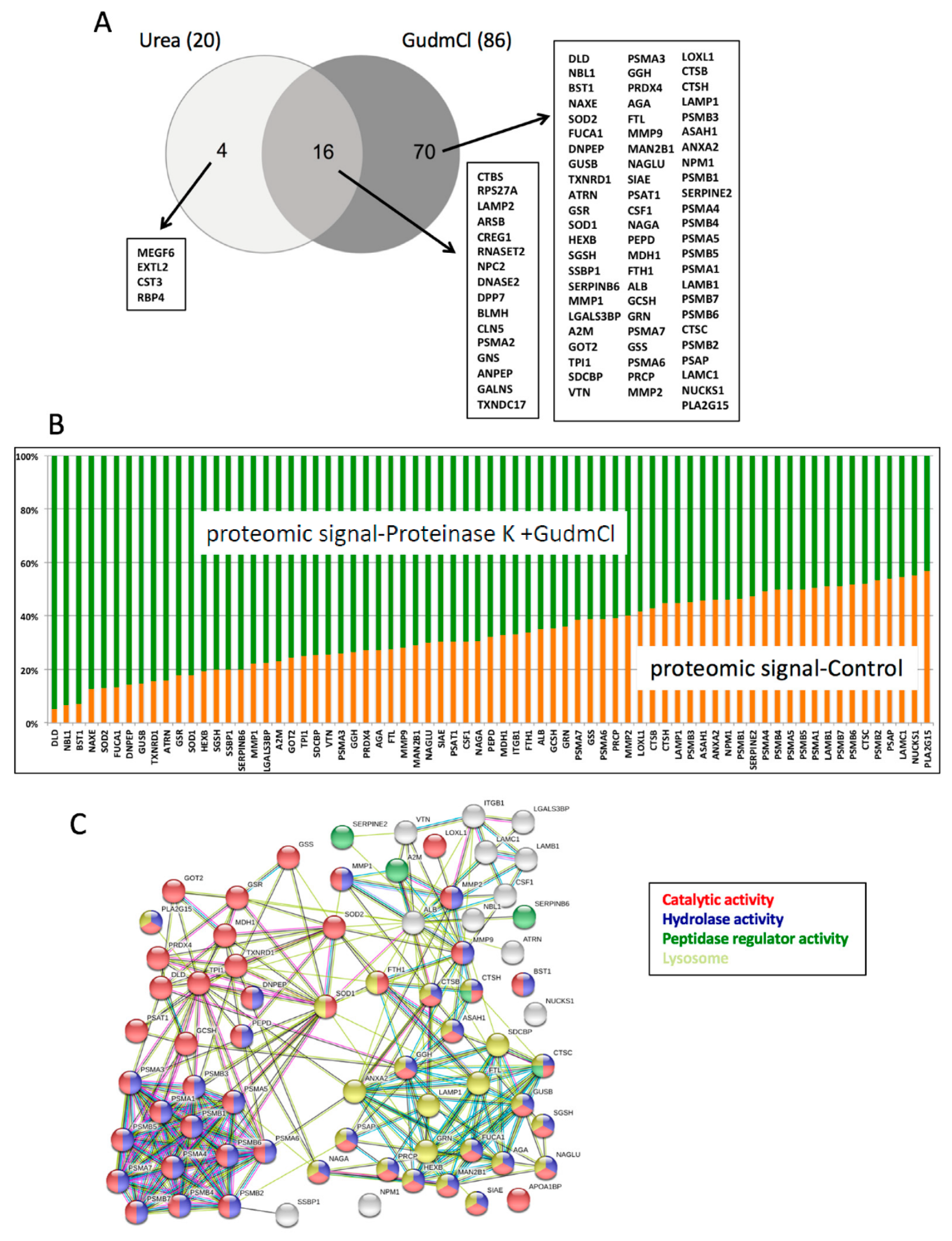 Cancers 14 03858 g001